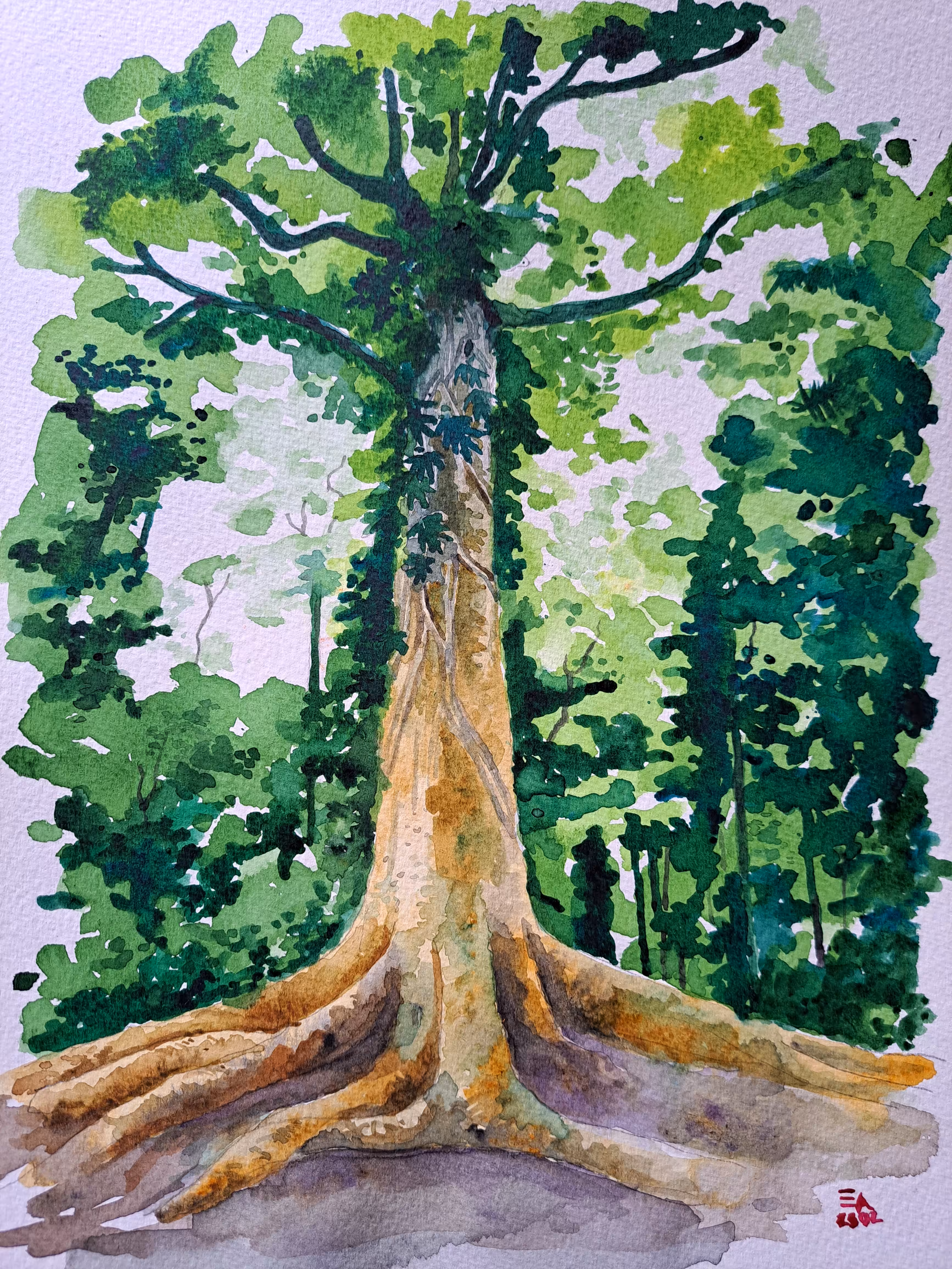 My Watercolor  Art
