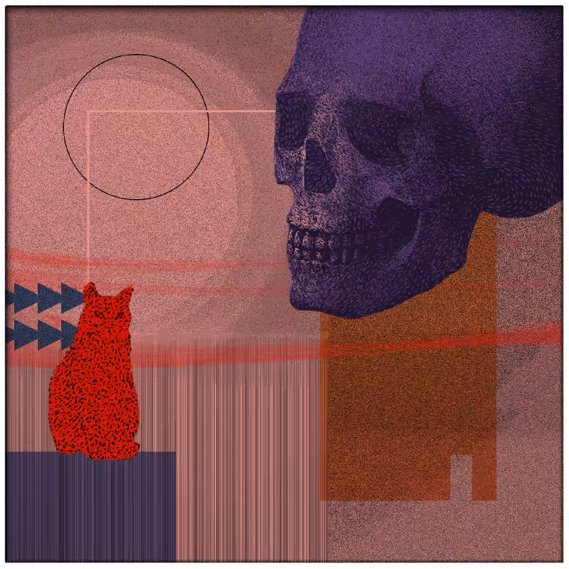 Salem #37