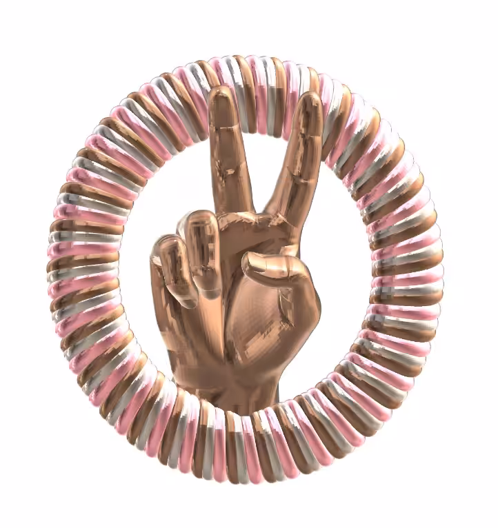 Pigrasso against war coin