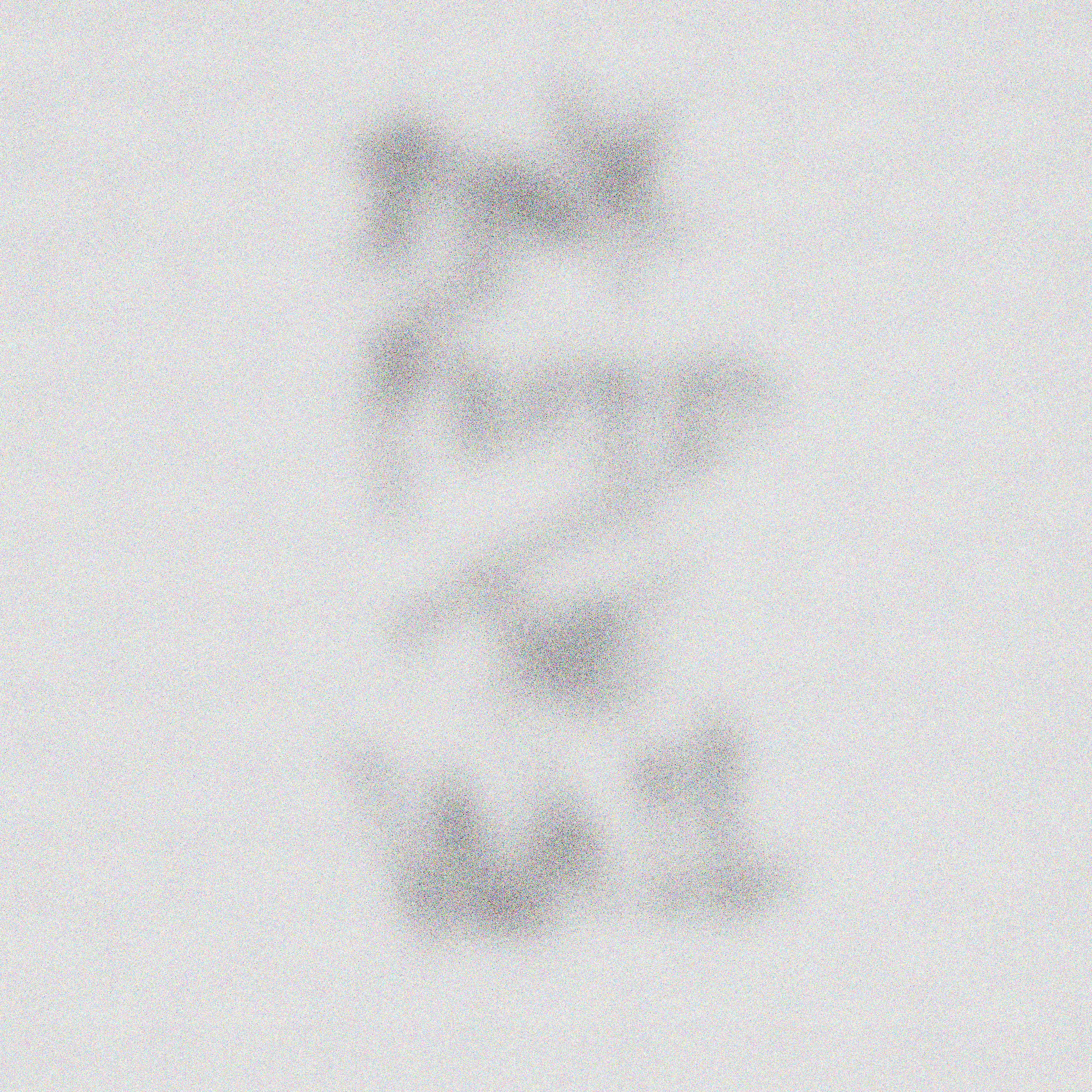 THE WALL