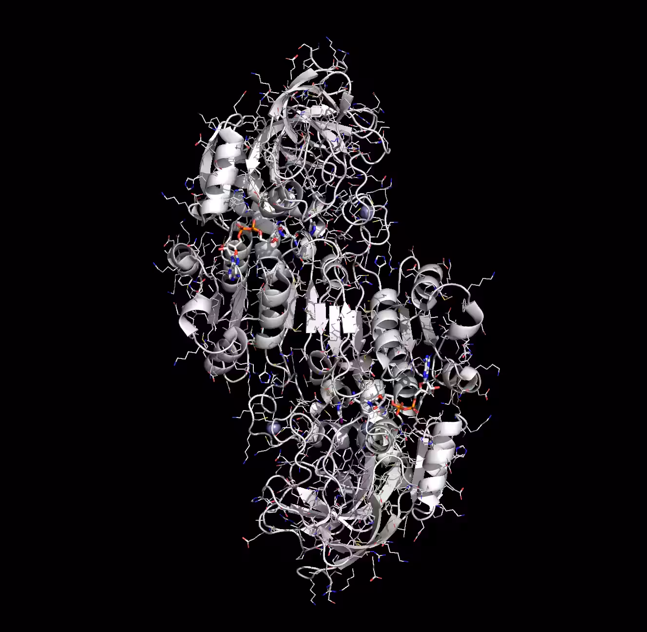 Alcohol Dehydrogenase – ADH1A diamond