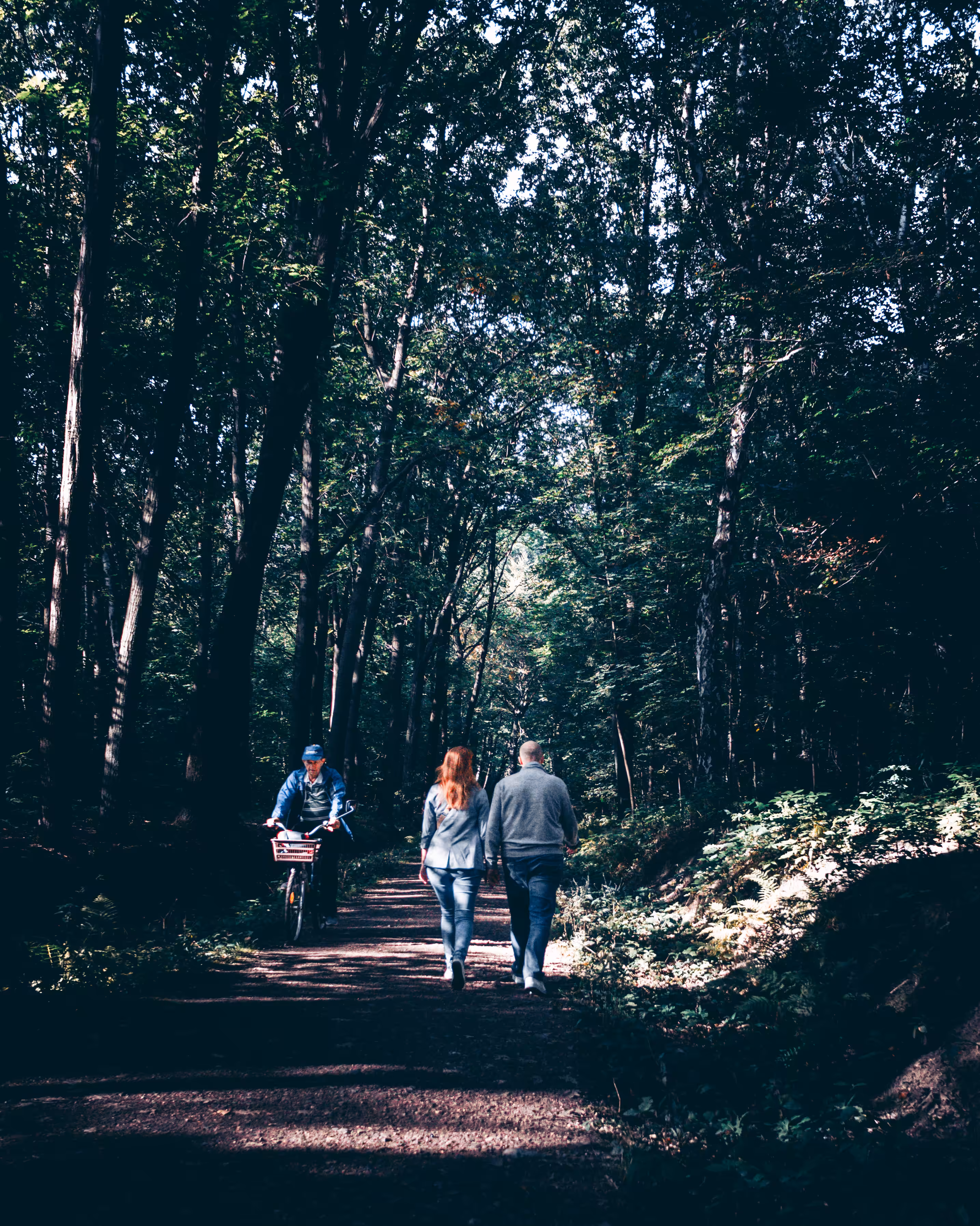 A Walk in the Park
