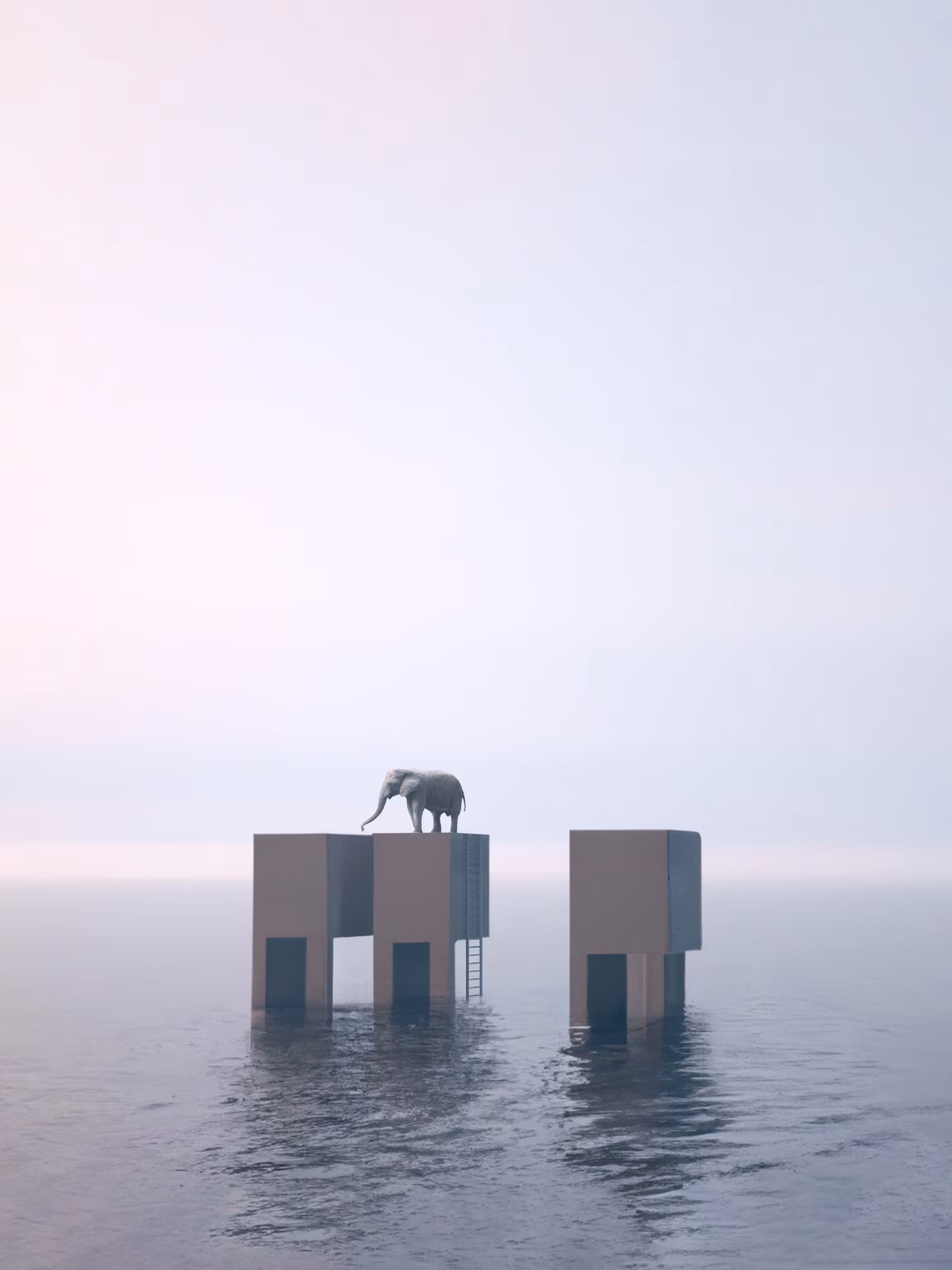+19