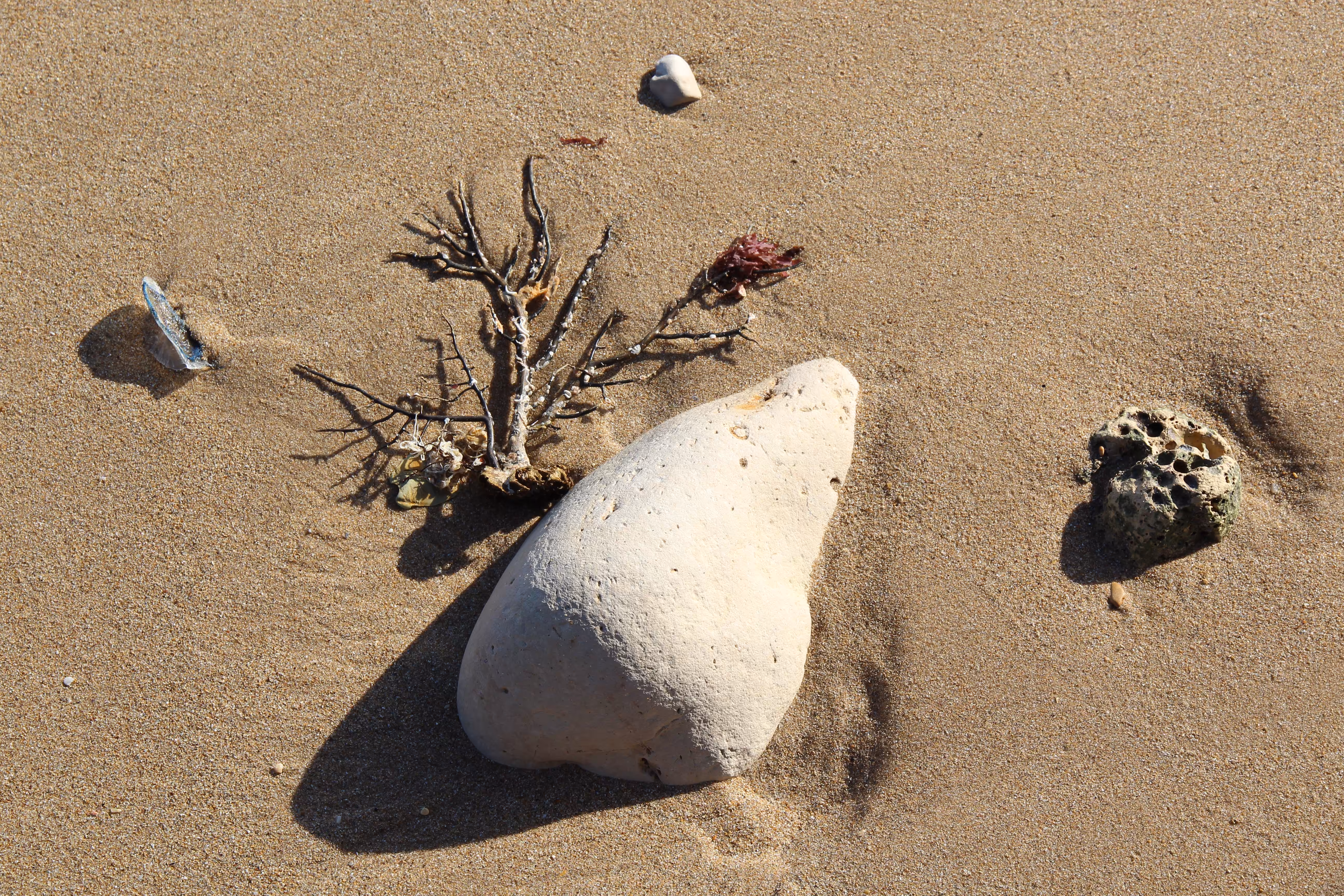 Island Meditation