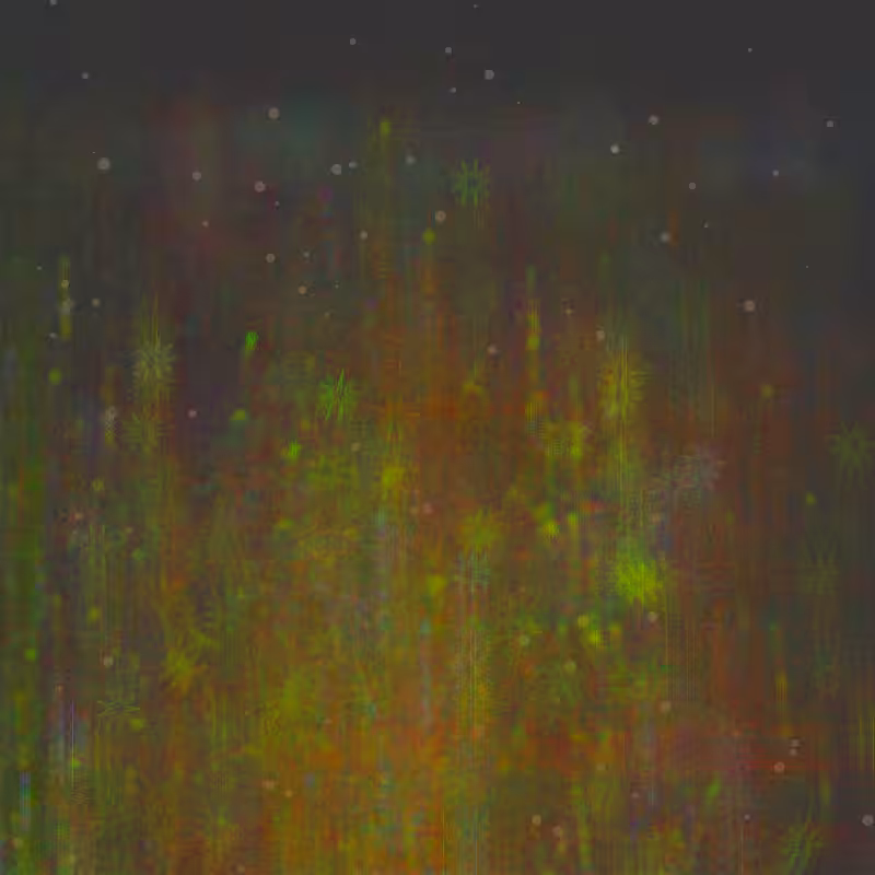 Specters of nature #144