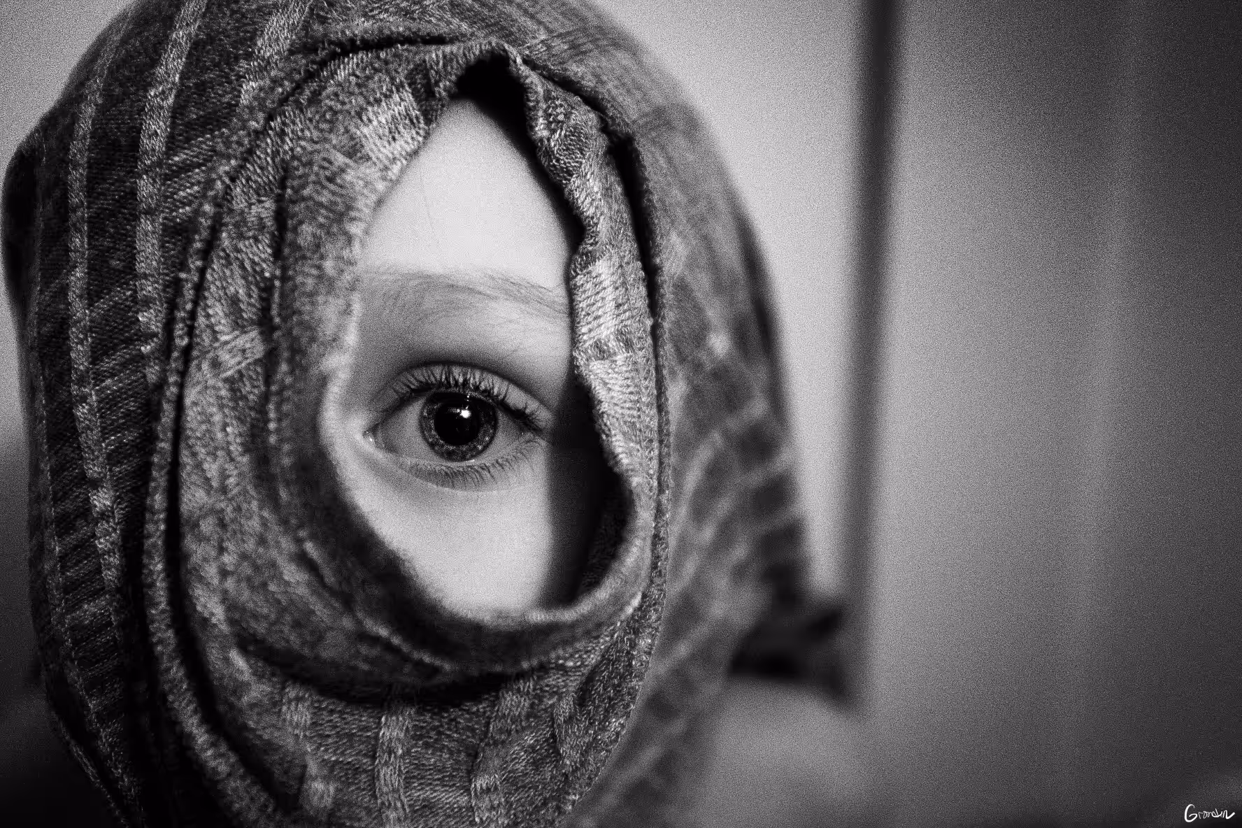 Sight