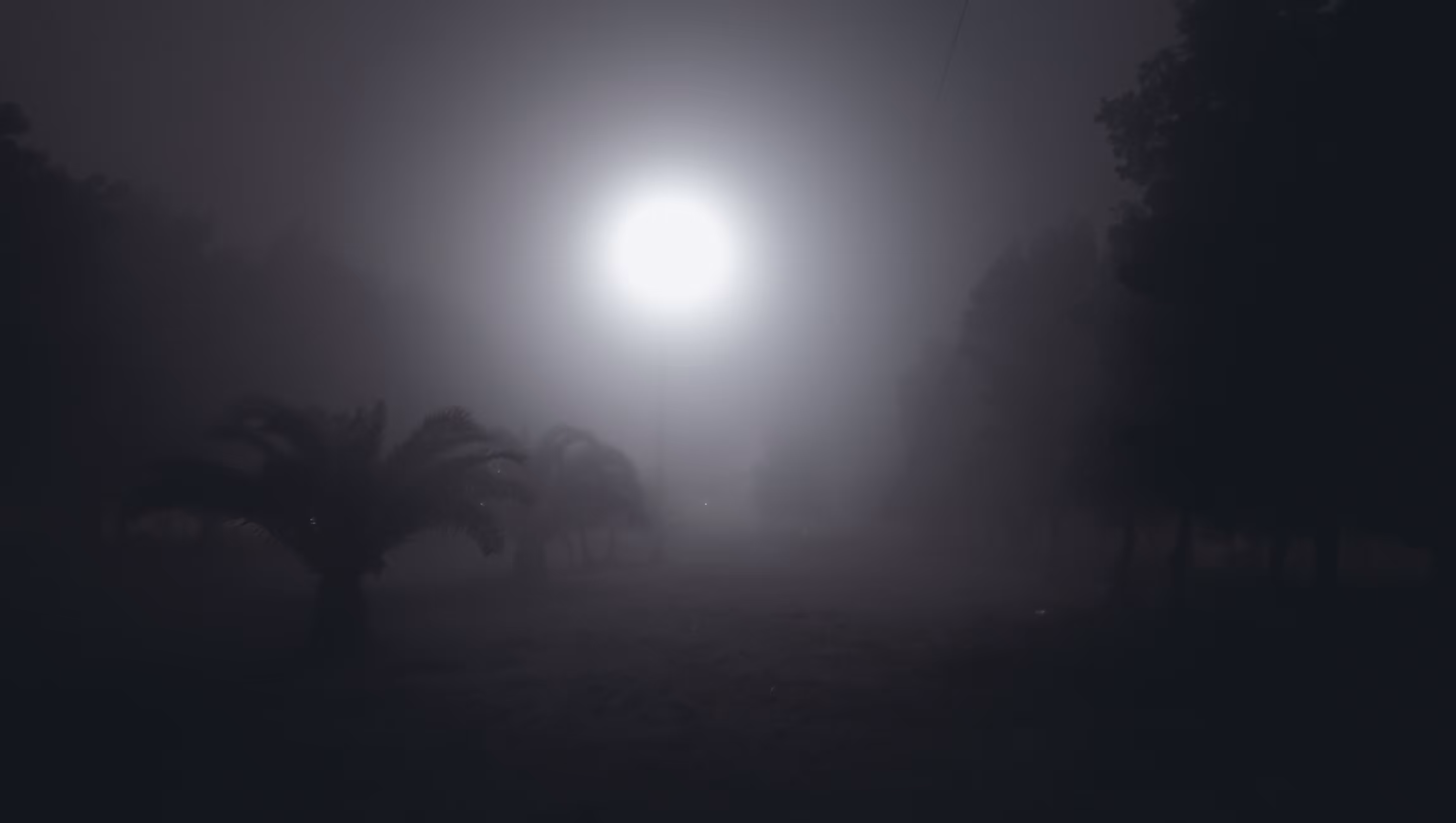 Foggy