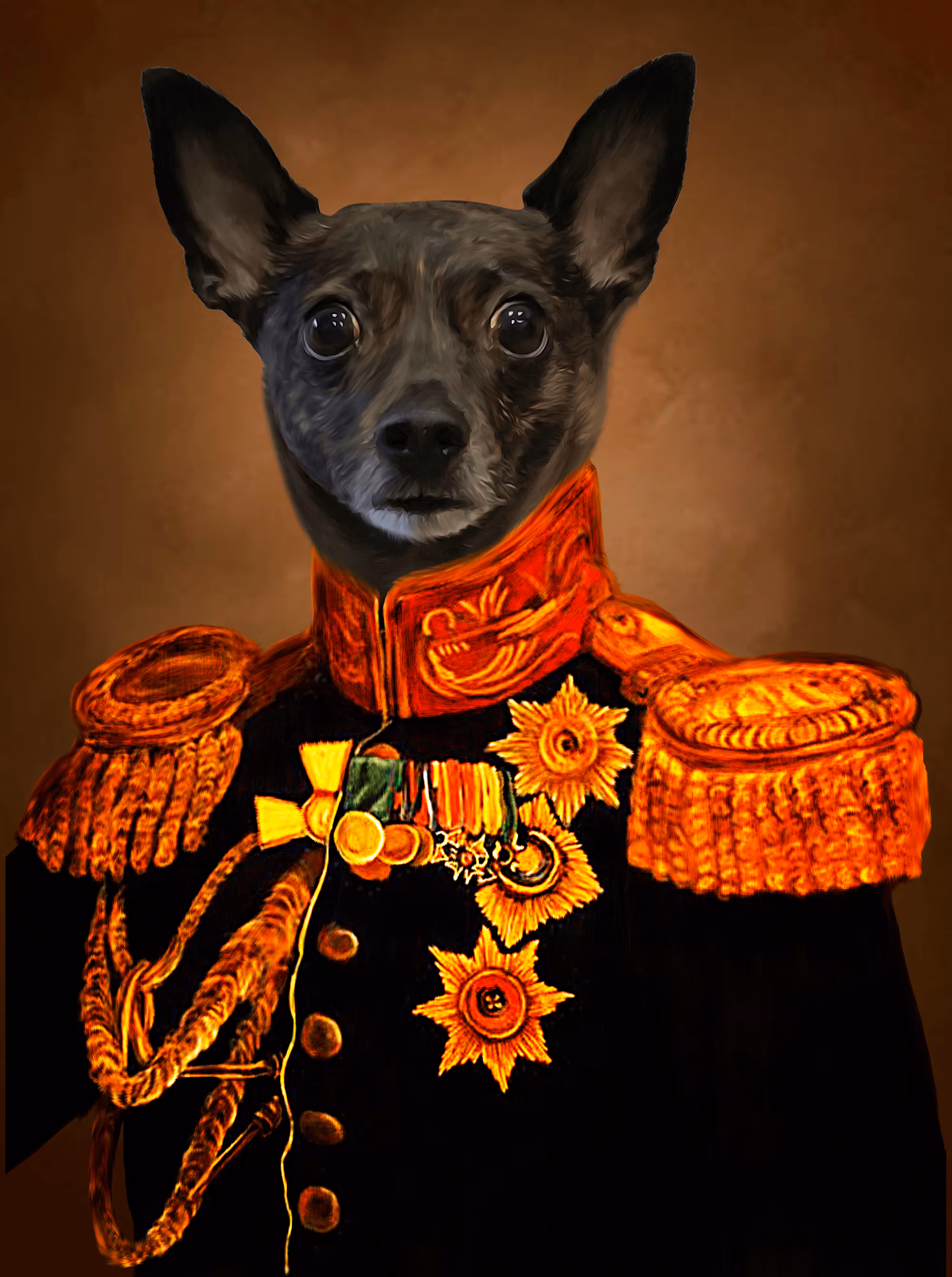 Veteran Black