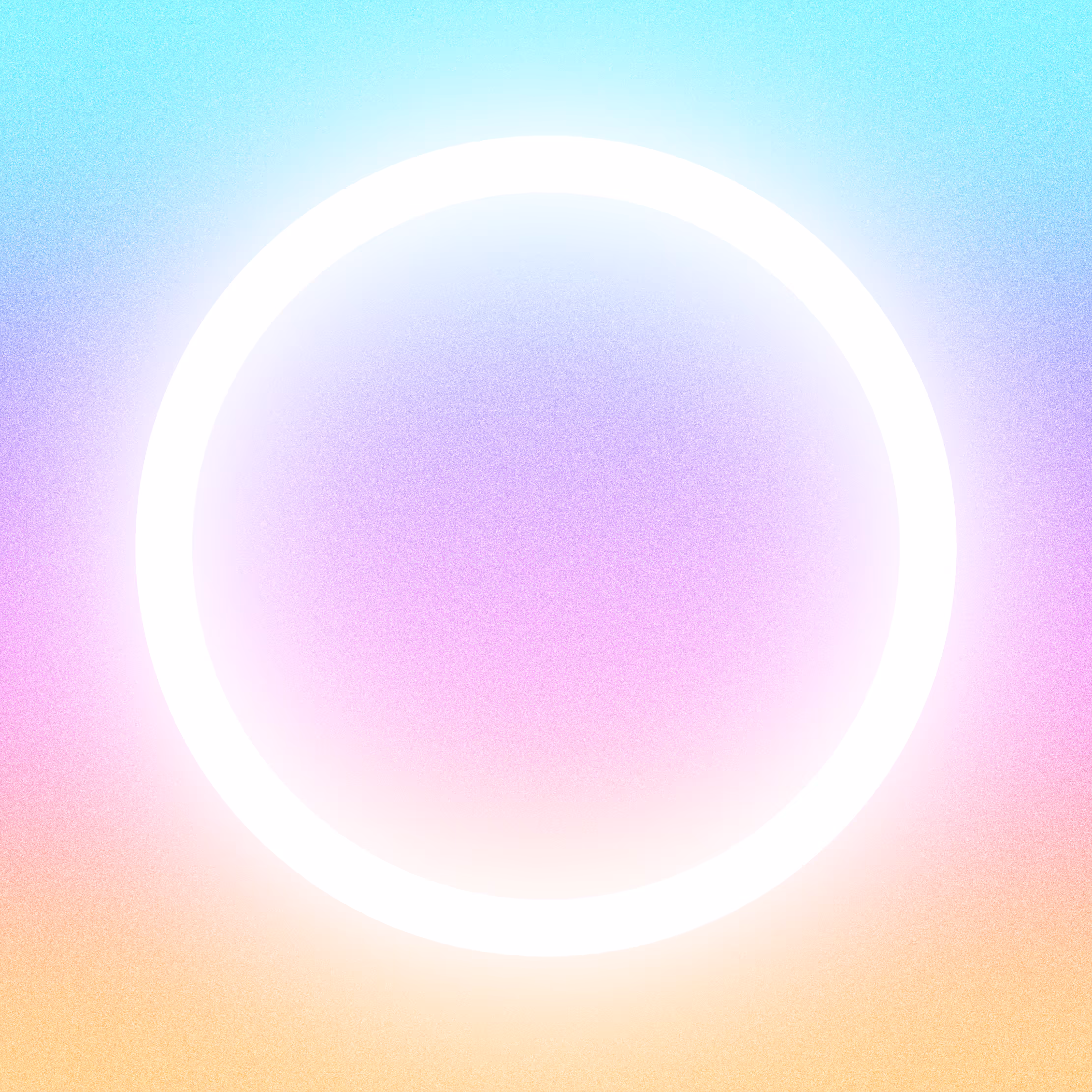 with the light 11