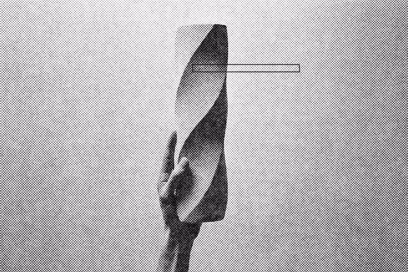 The Story of Hands #27