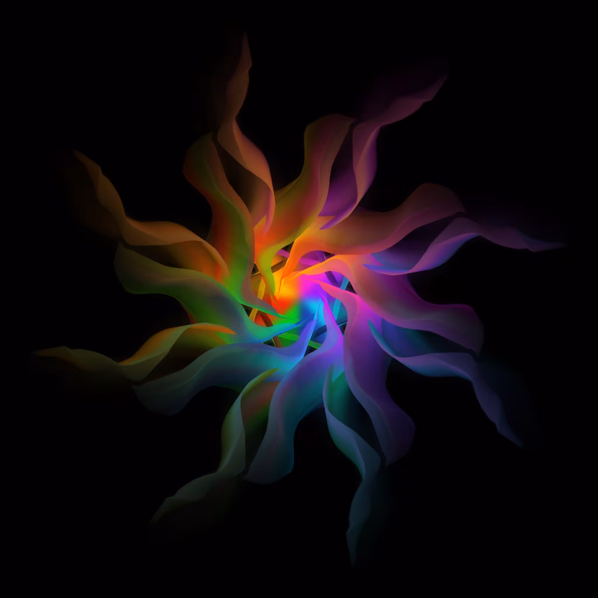 Disrumpir / Naopishapes