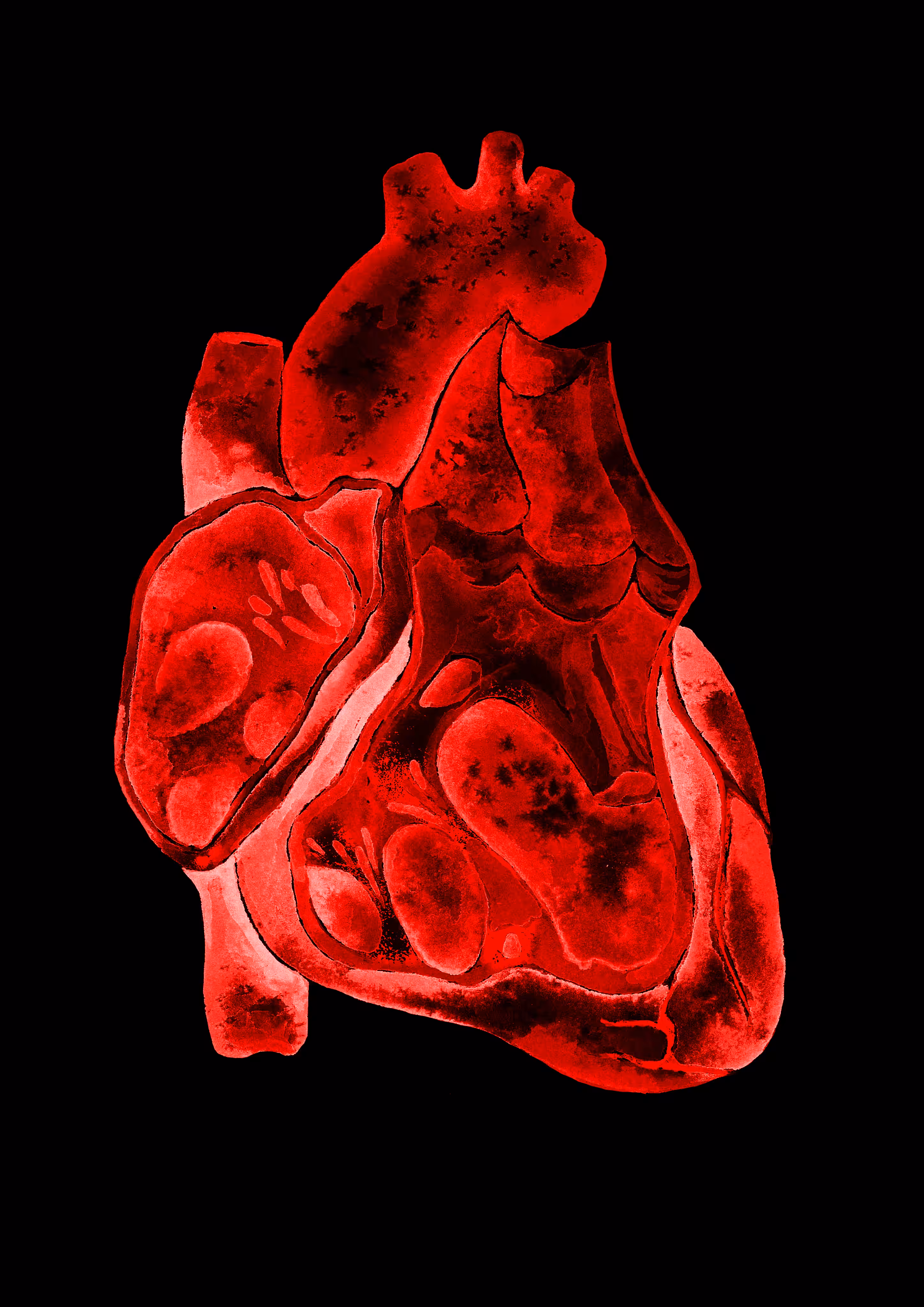 ANATOMICAL