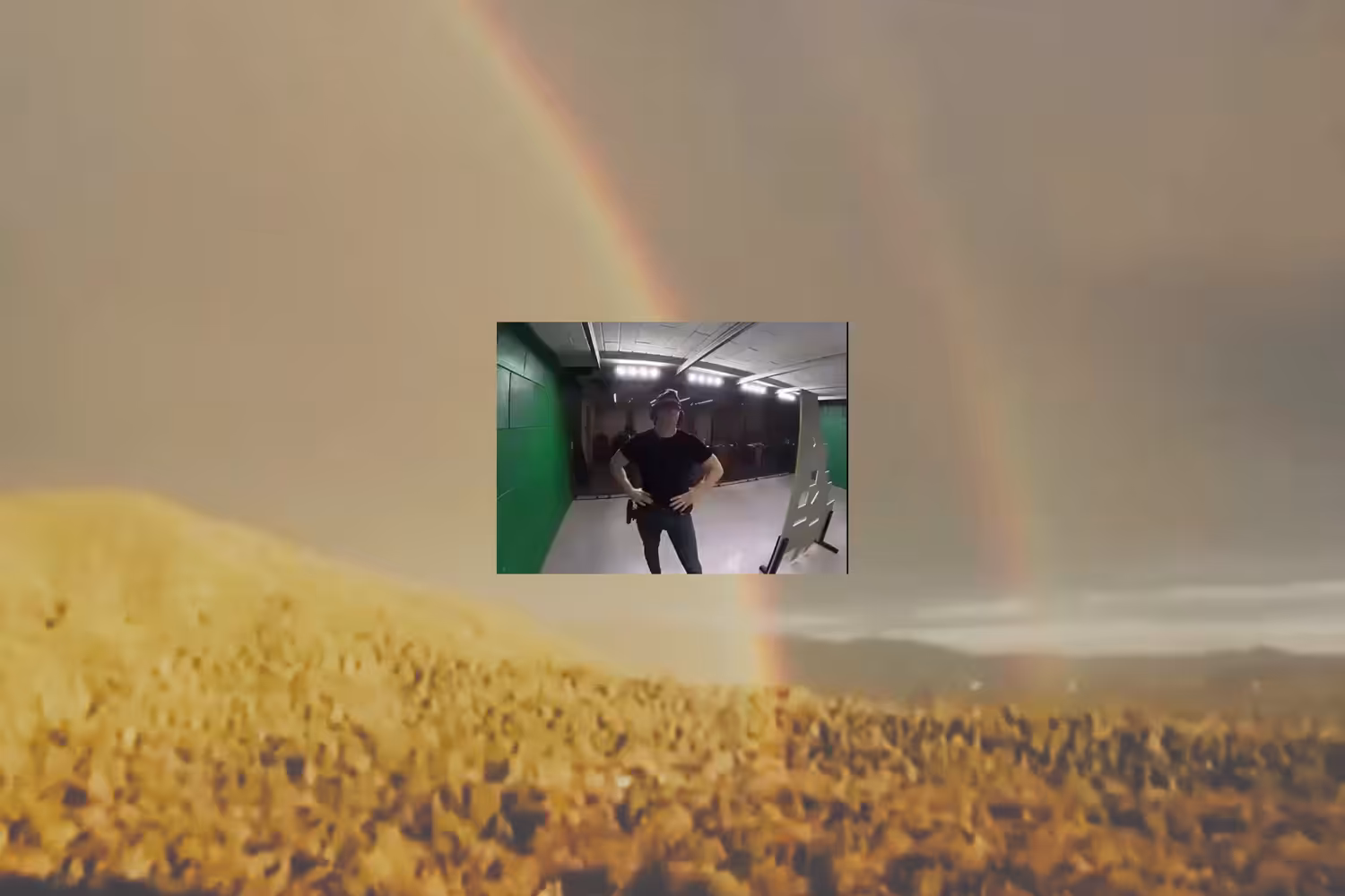 Un gato campeón