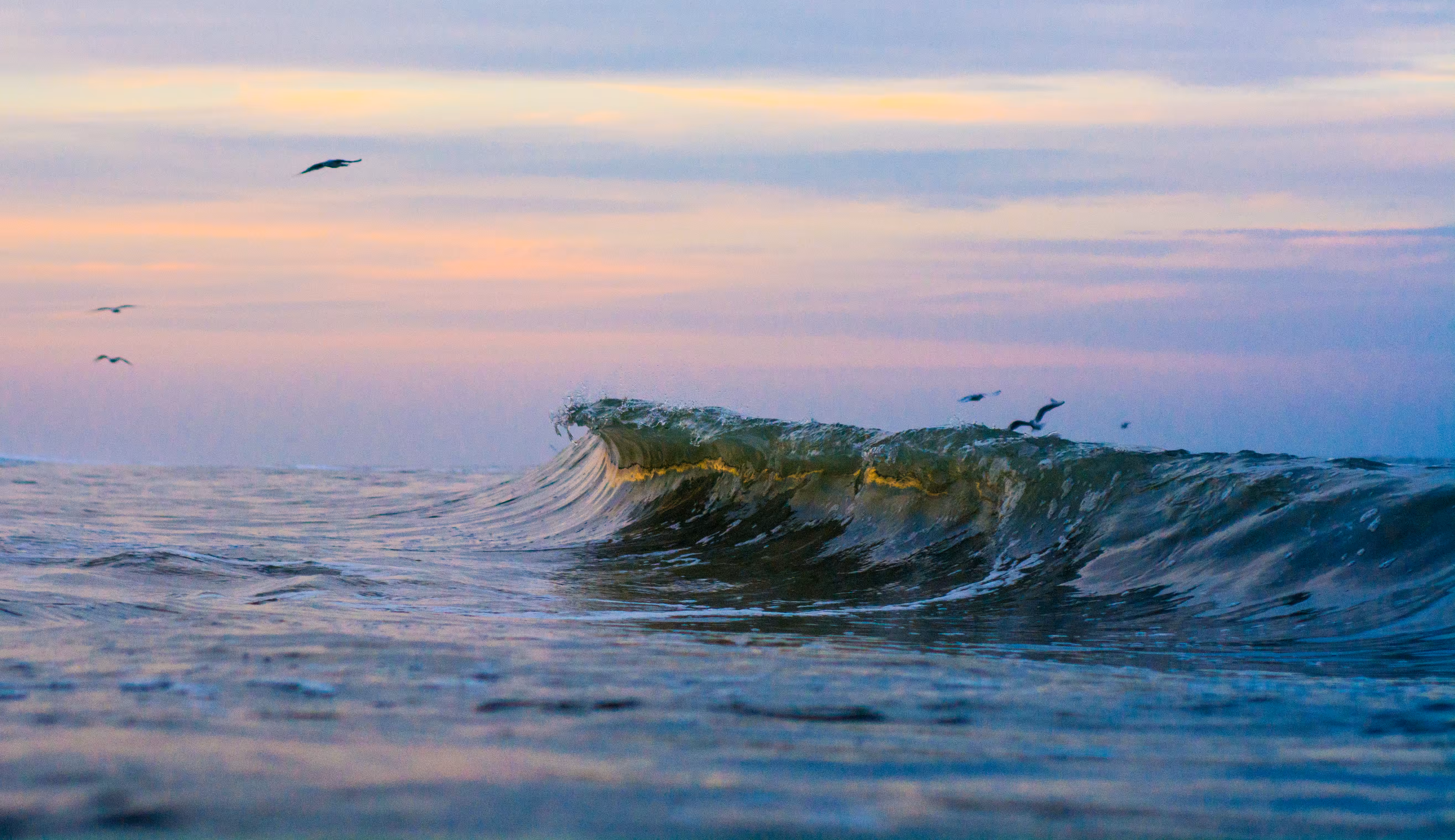 Wave #1