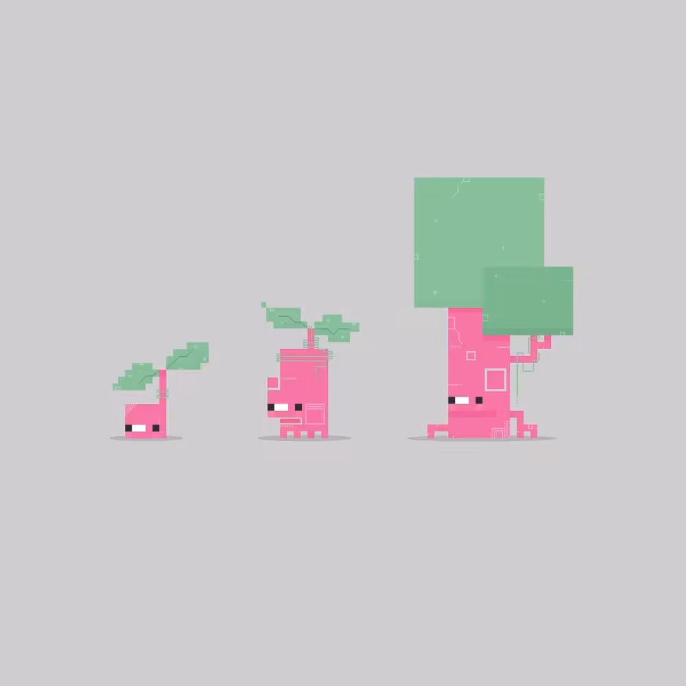 PXLPET 13-15 [EVOLUTIONS EDITION]