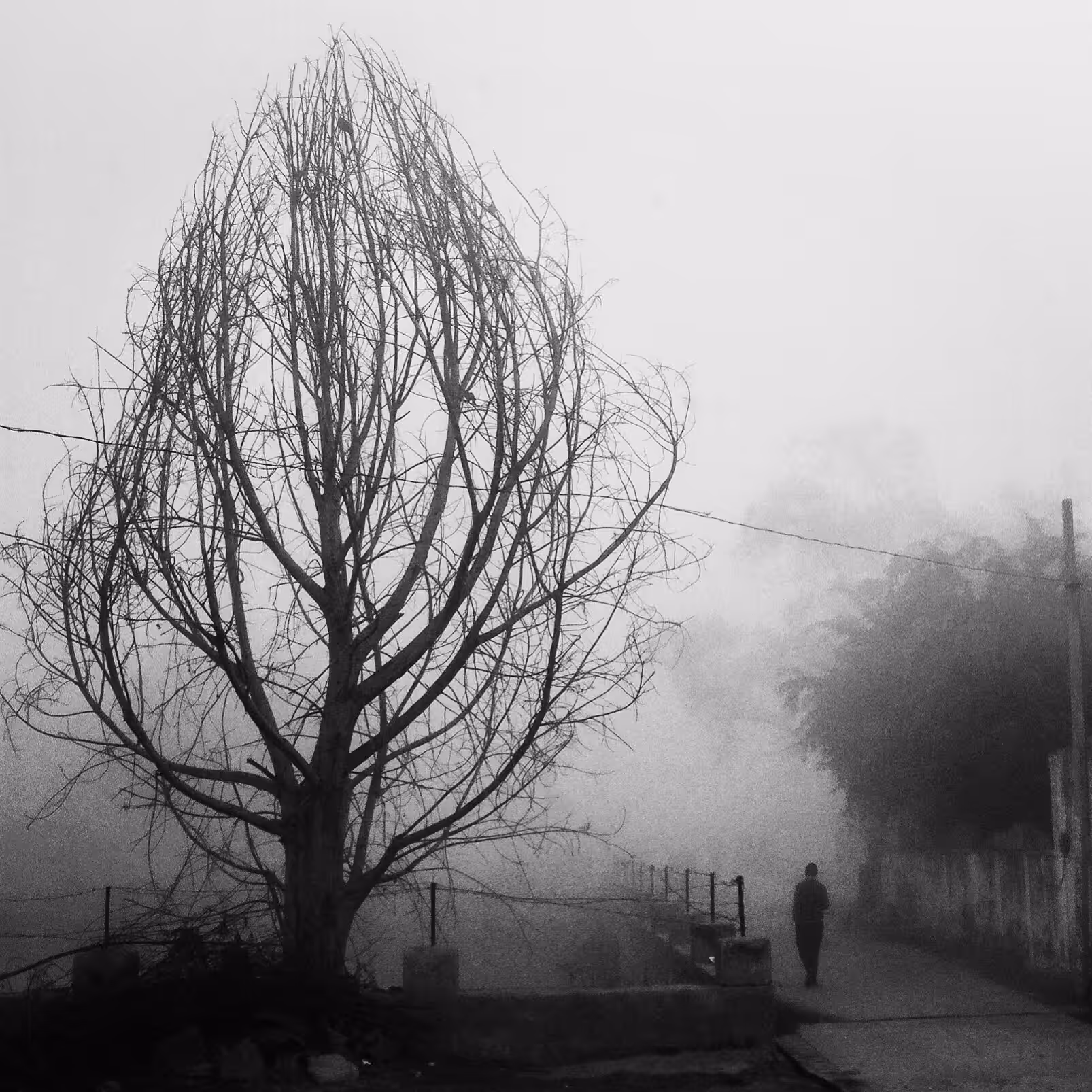 Foggy!