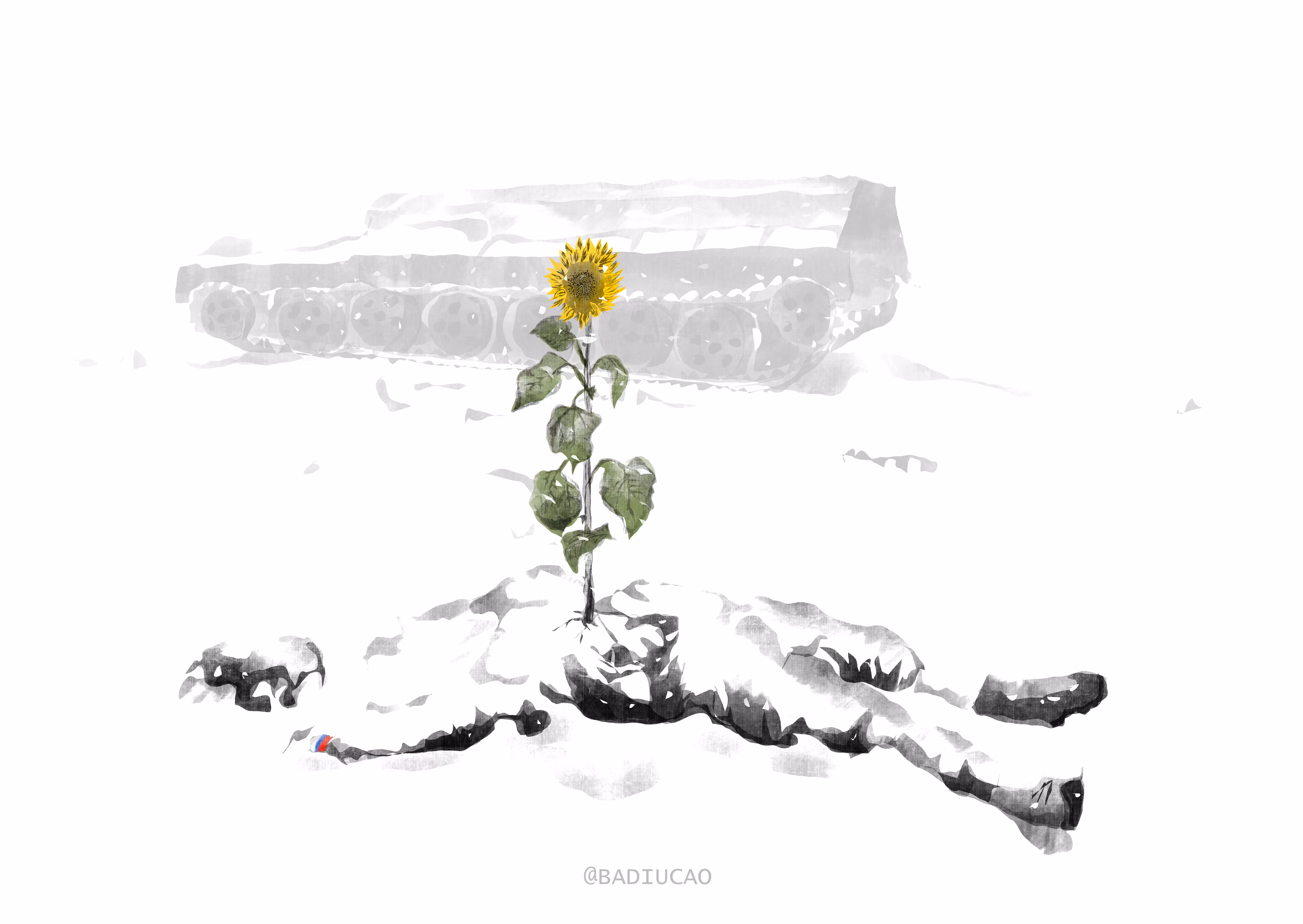 Germination