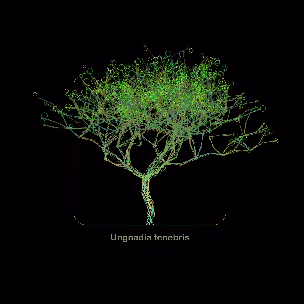 Fluidynamix - Trees #114