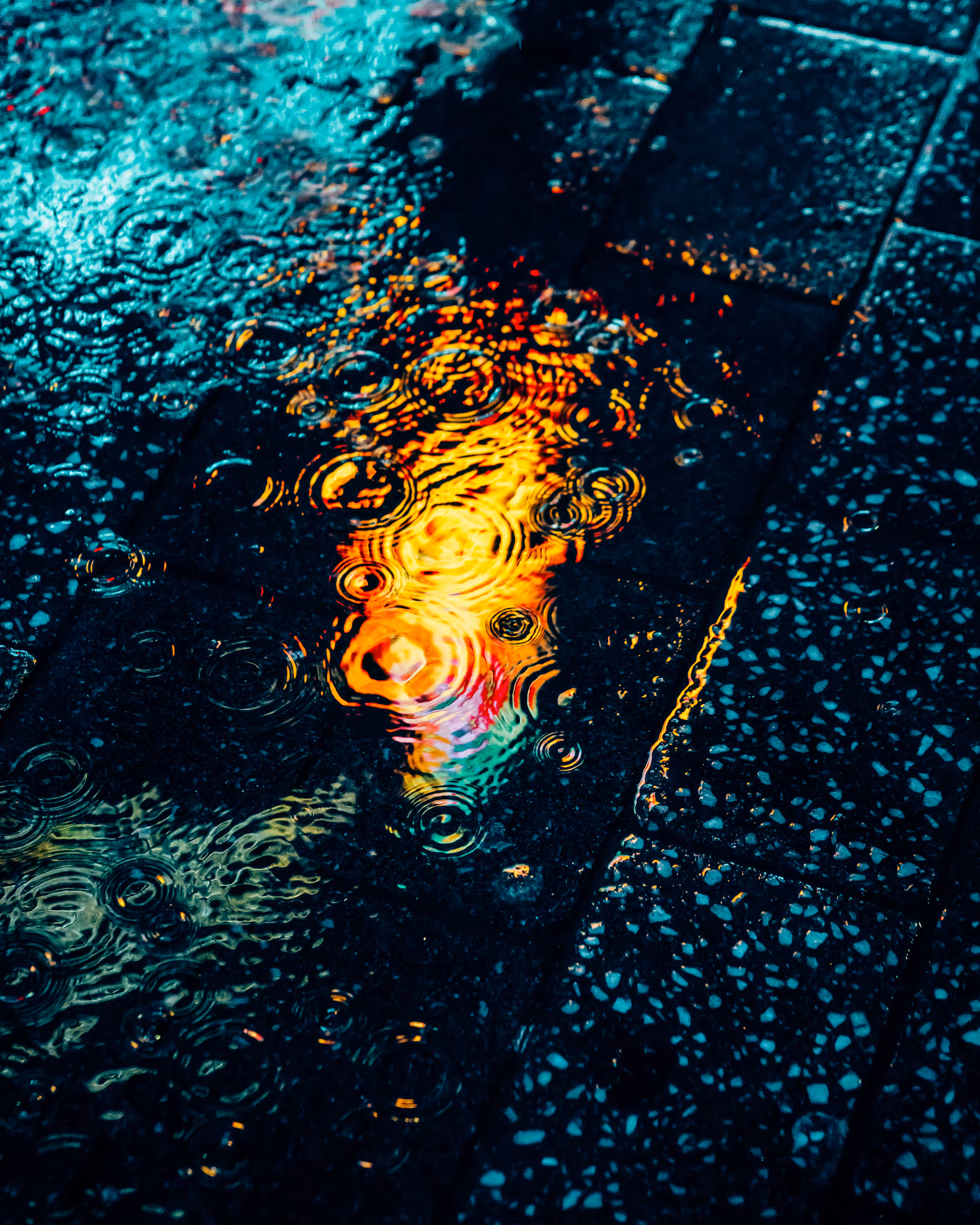 DRIP #331