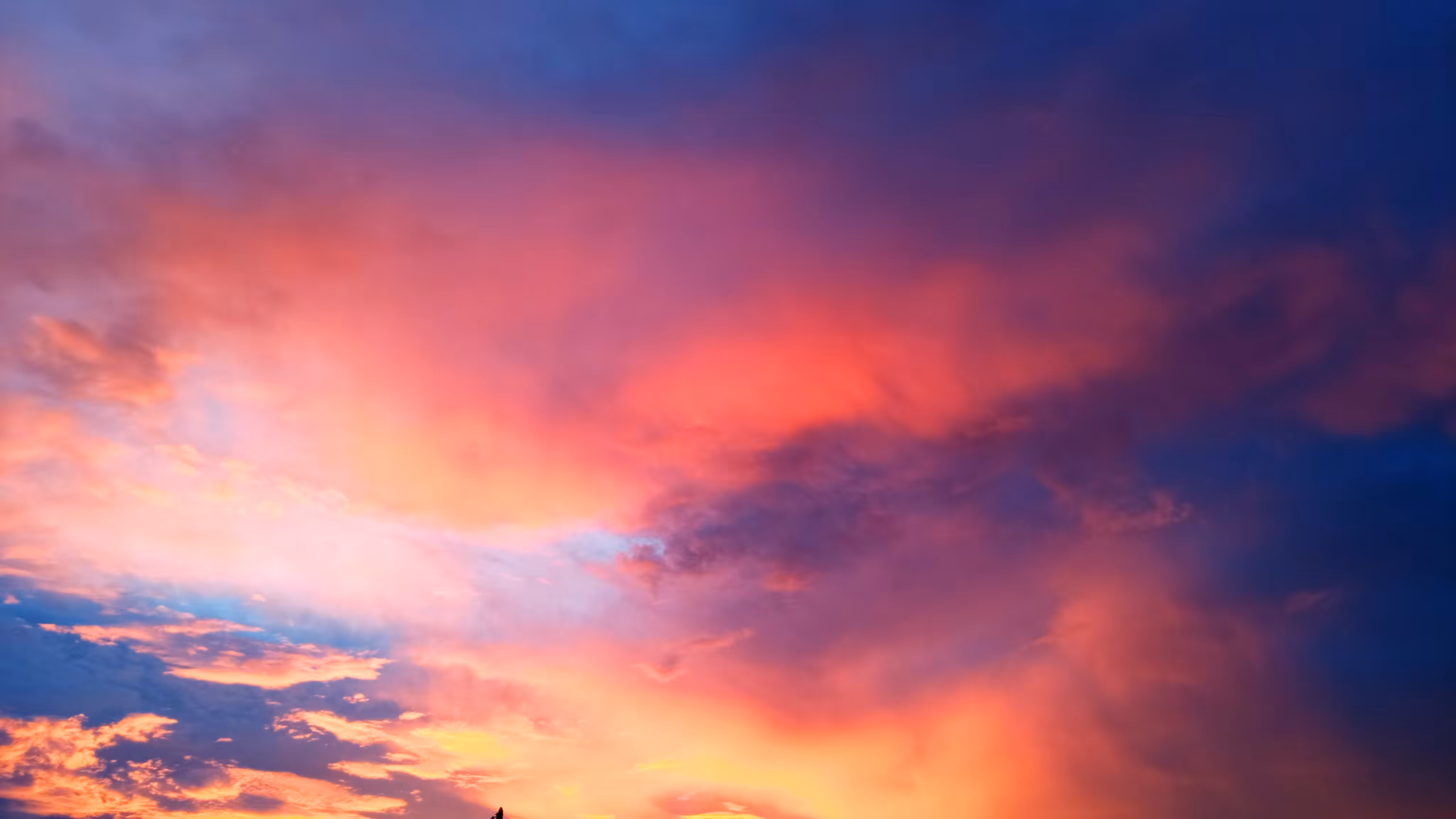 Colorful Canvas