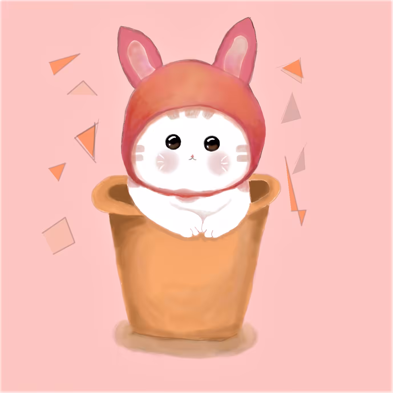 kitty like rabbit