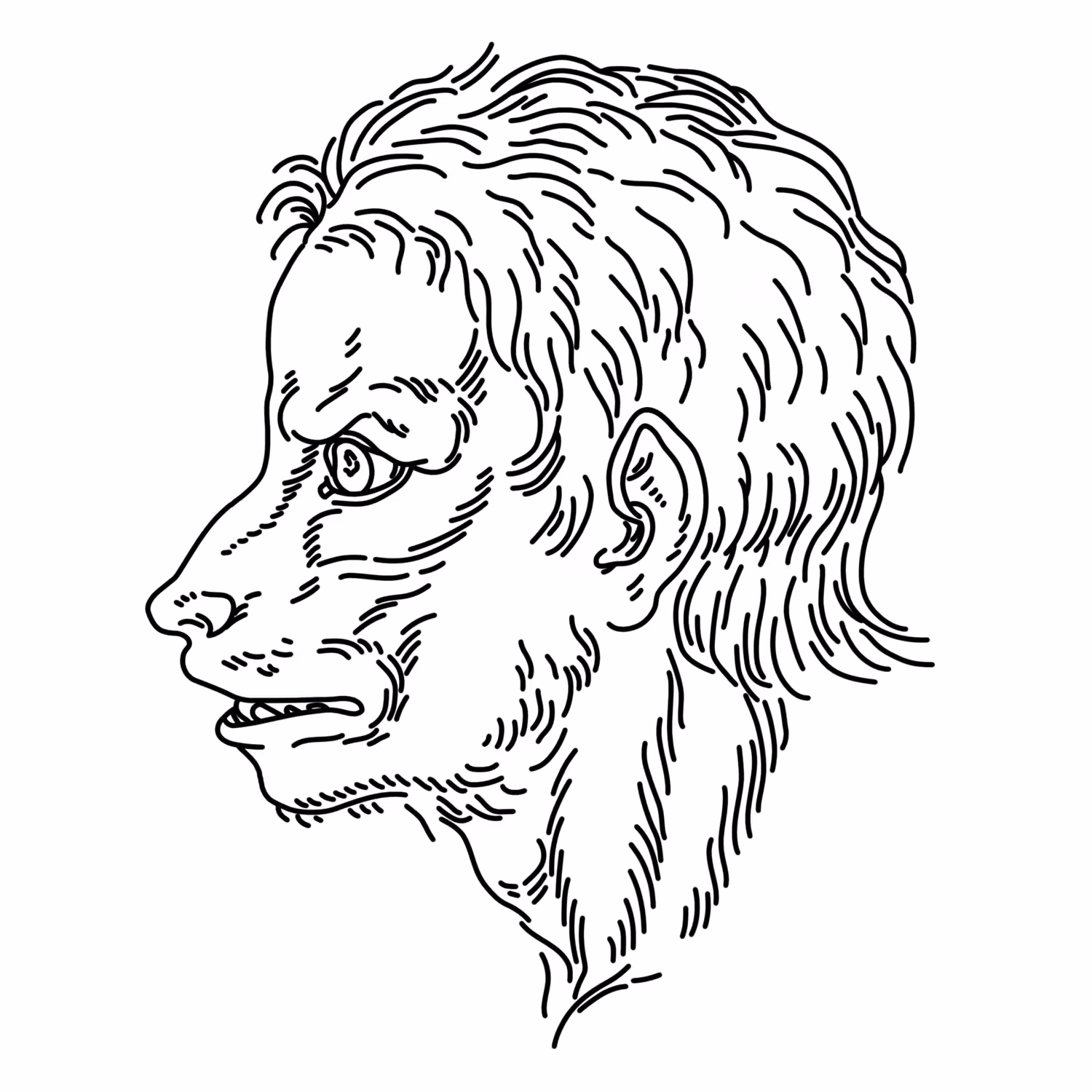 Becoming Wolf