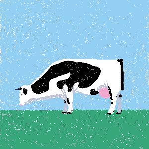 cow #76