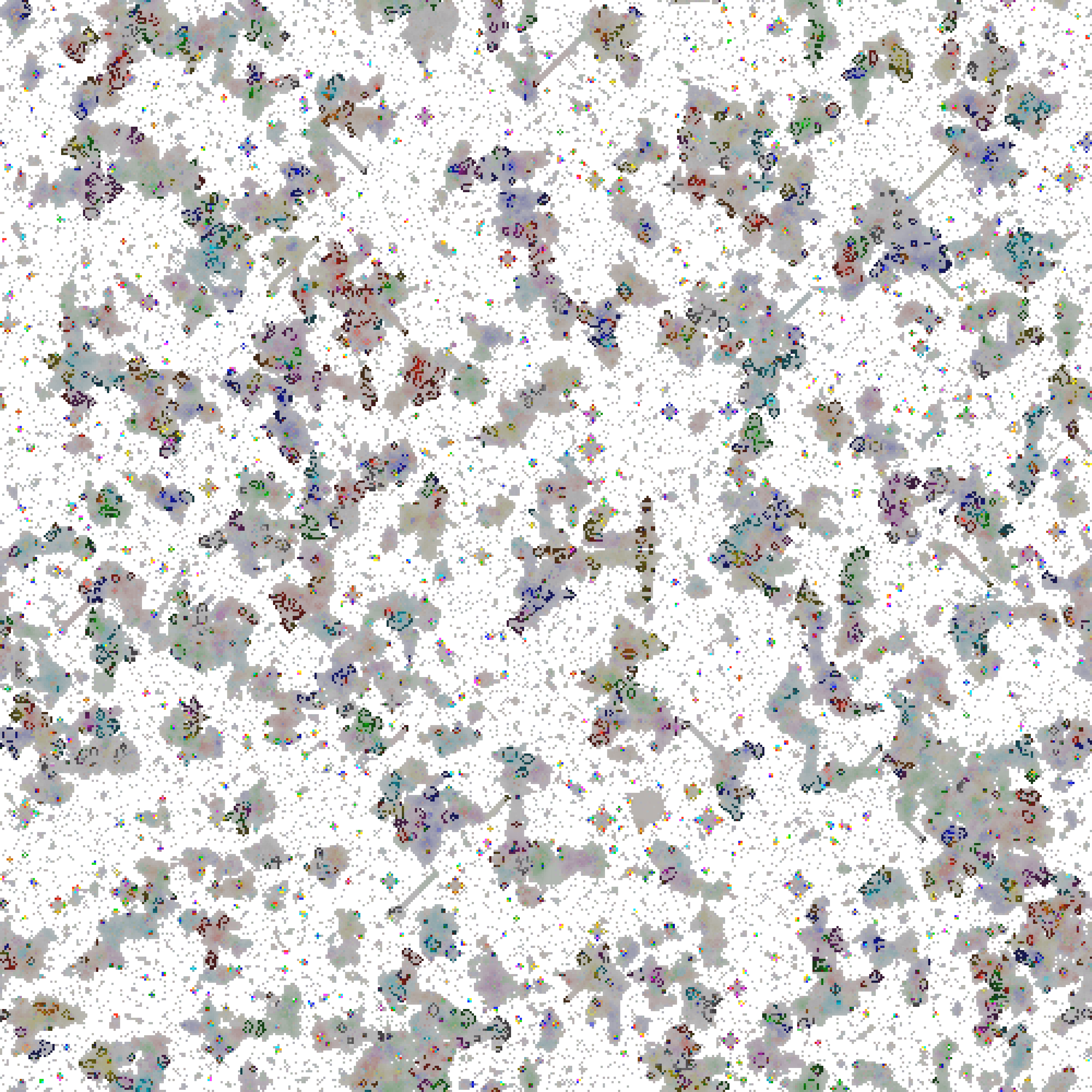 color_life_depth_20241127_163218