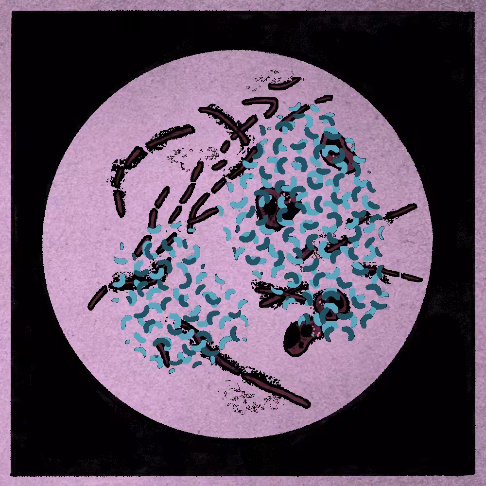 Microbes #210