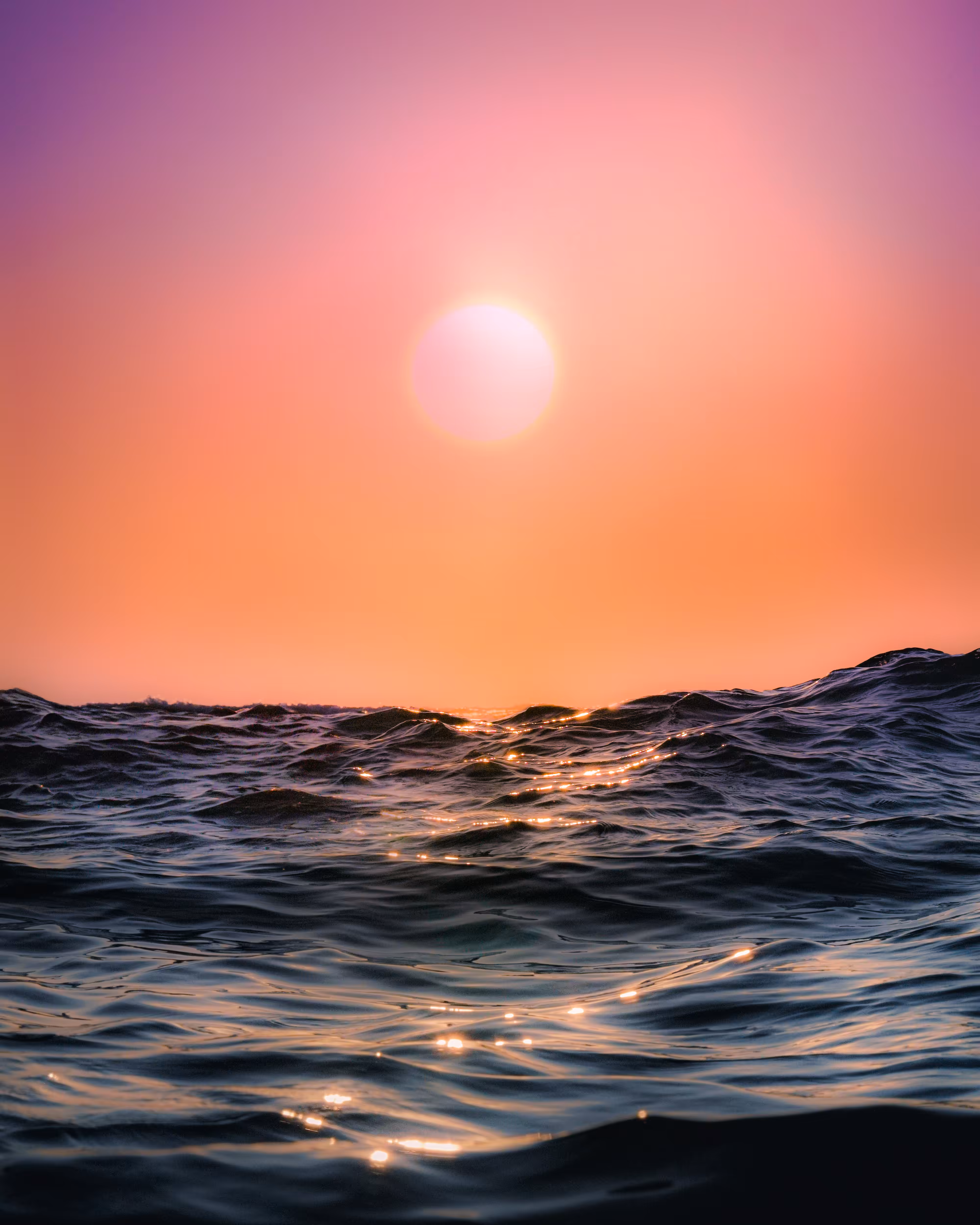 Solace