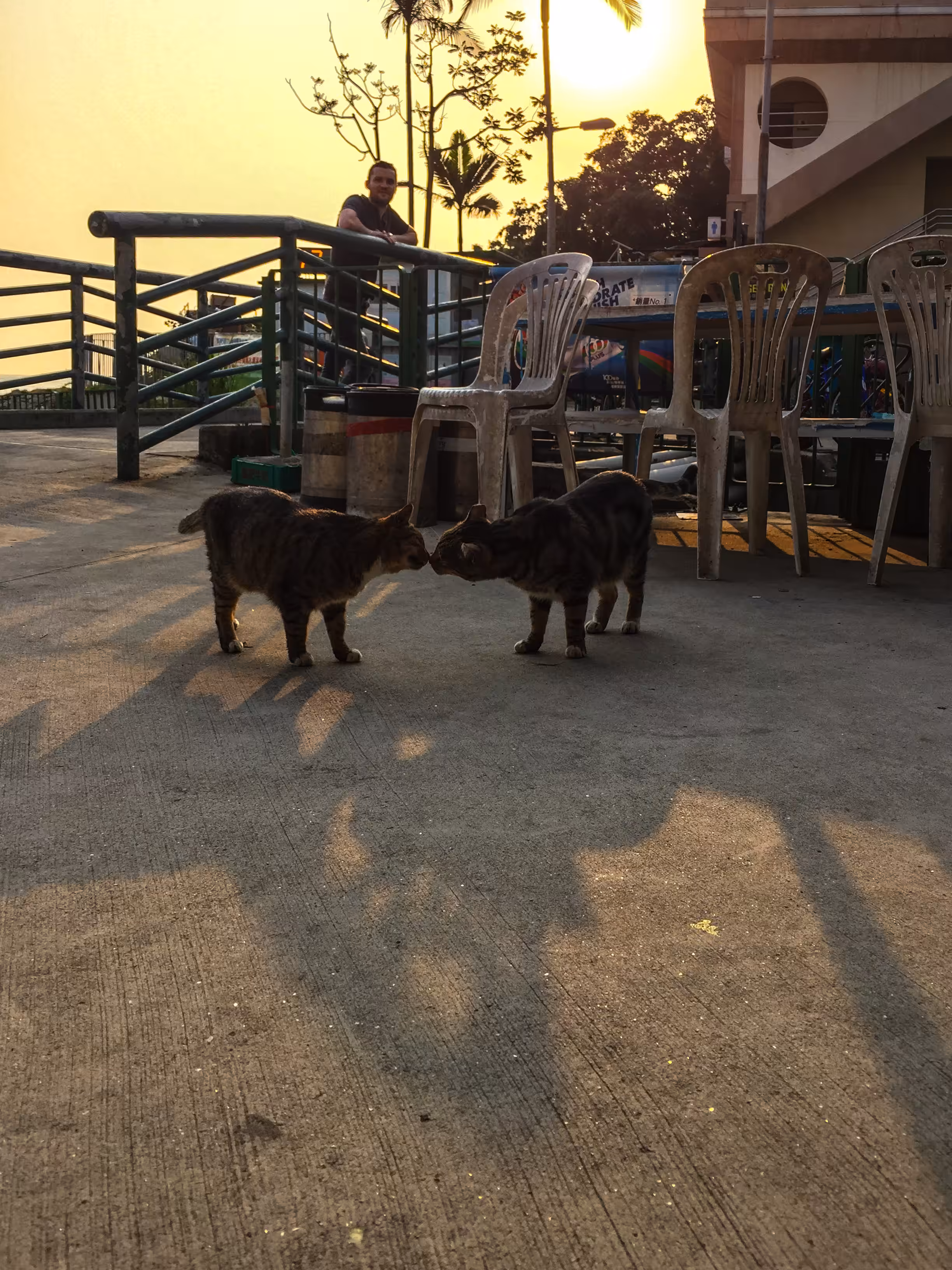 Lamma Island (LOVERS #1)