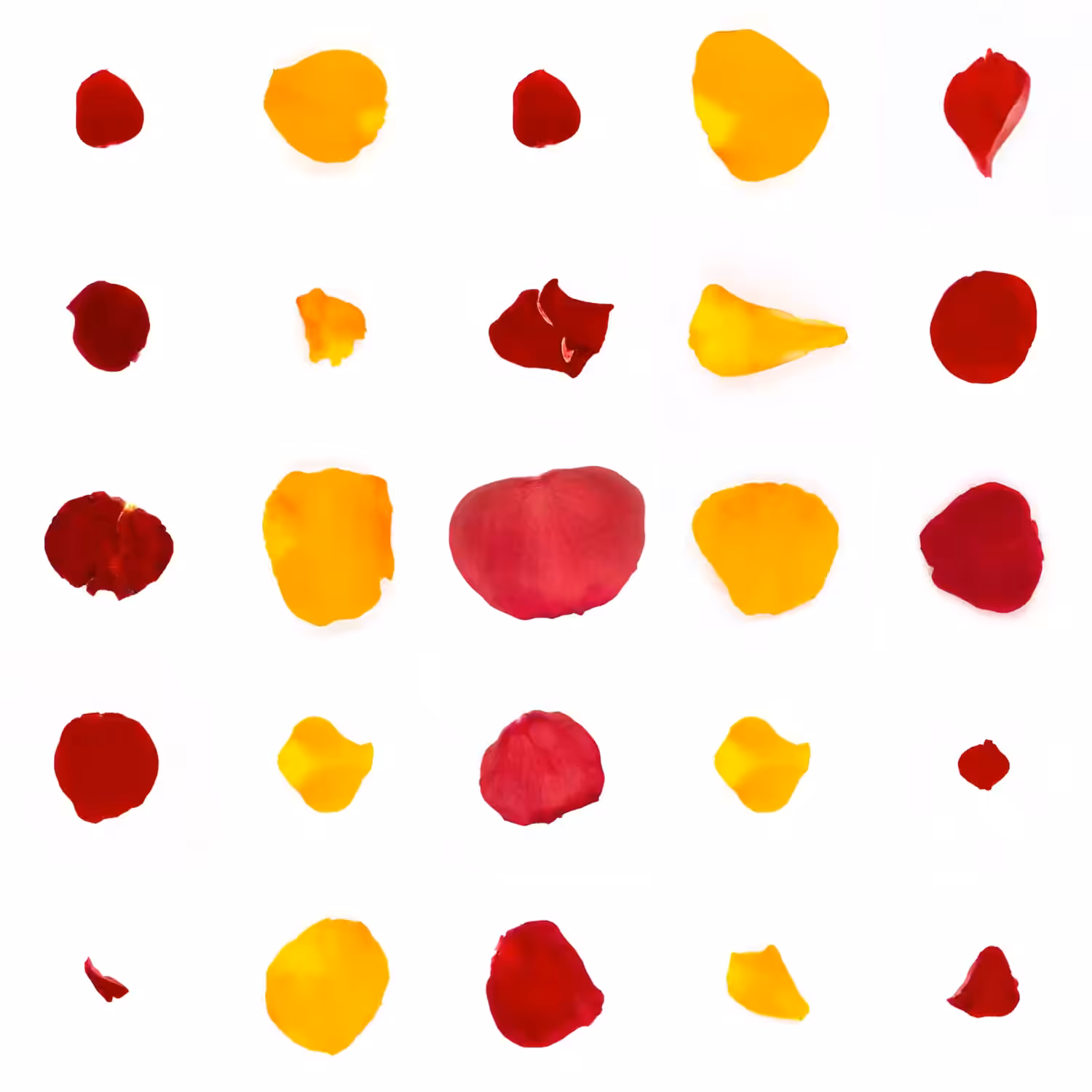 Infinite Petals 5x5#2368