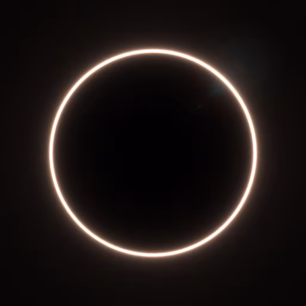 Totality #82