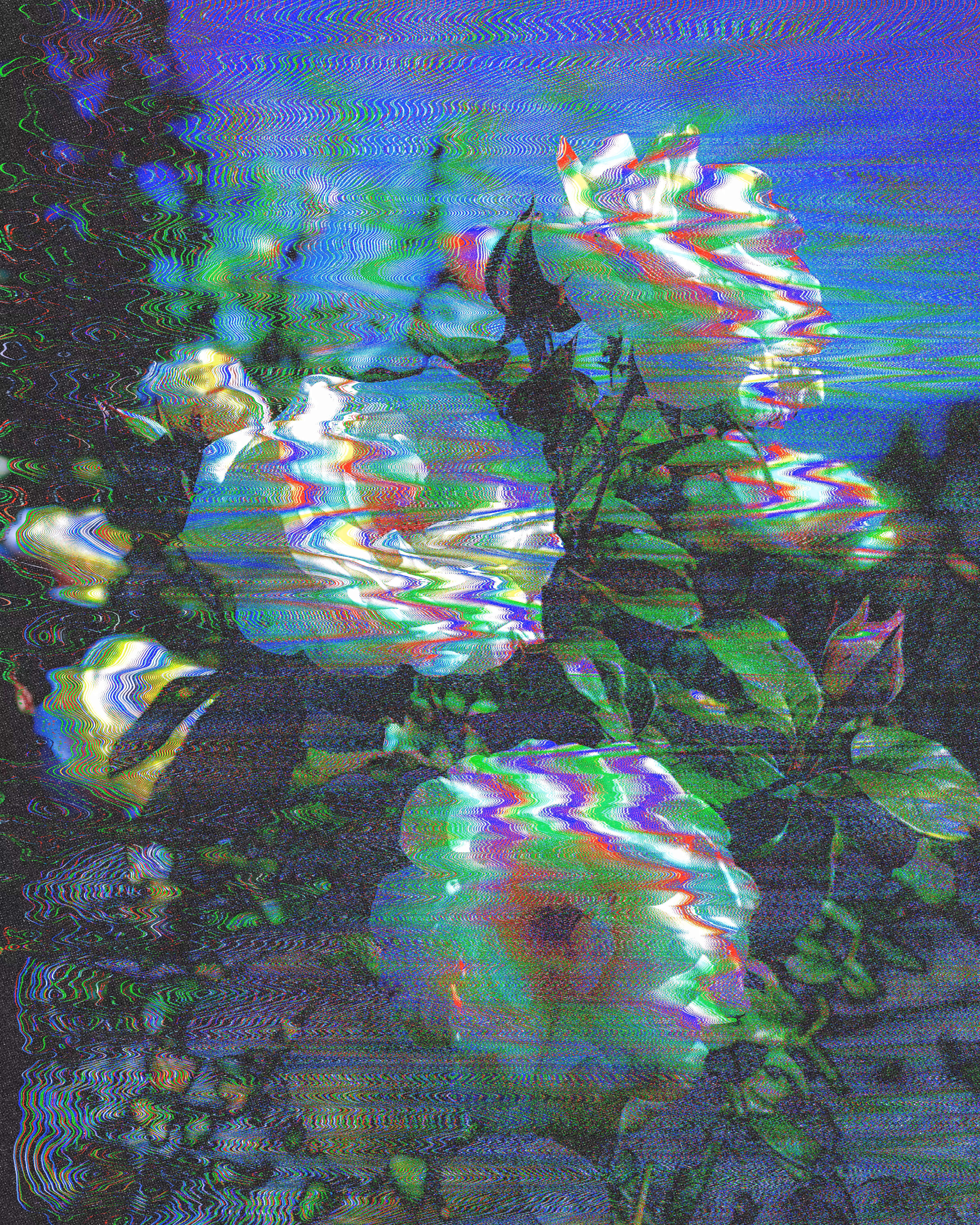 flwrs (Source)