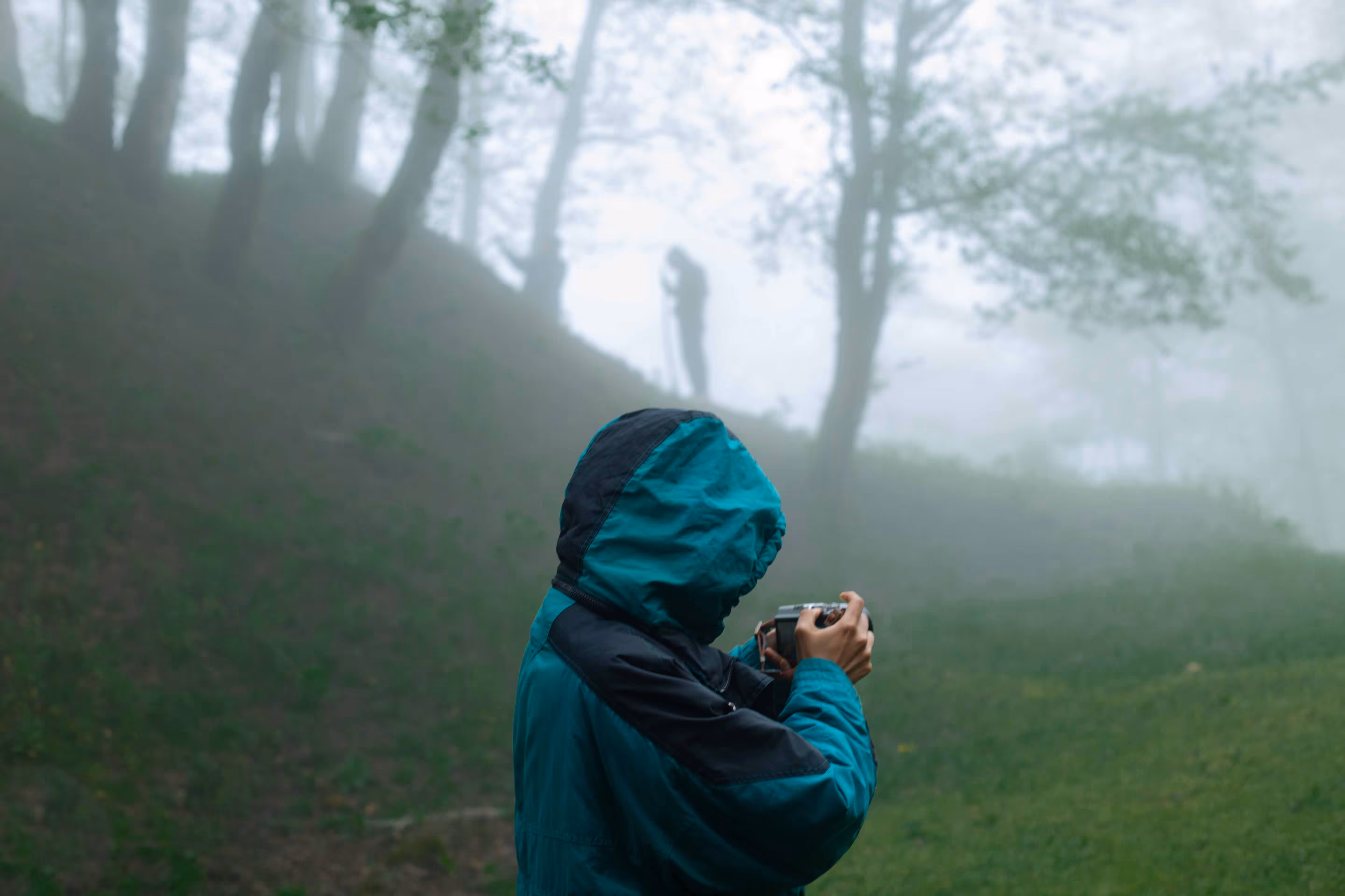 Figures in the Fog
