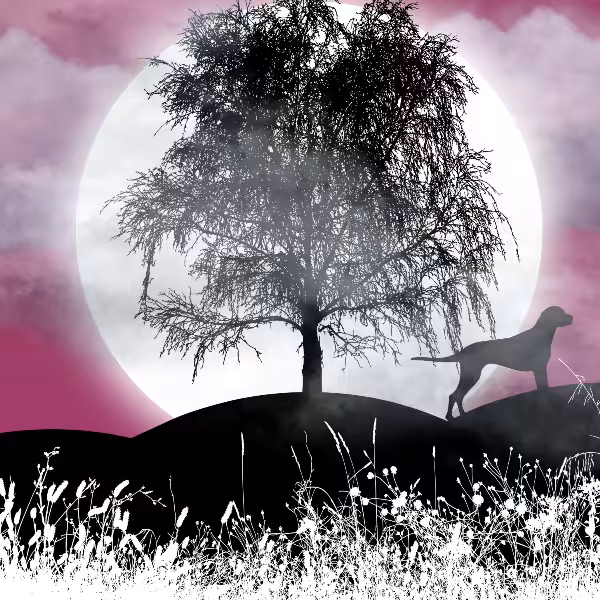 Moon and Life #16