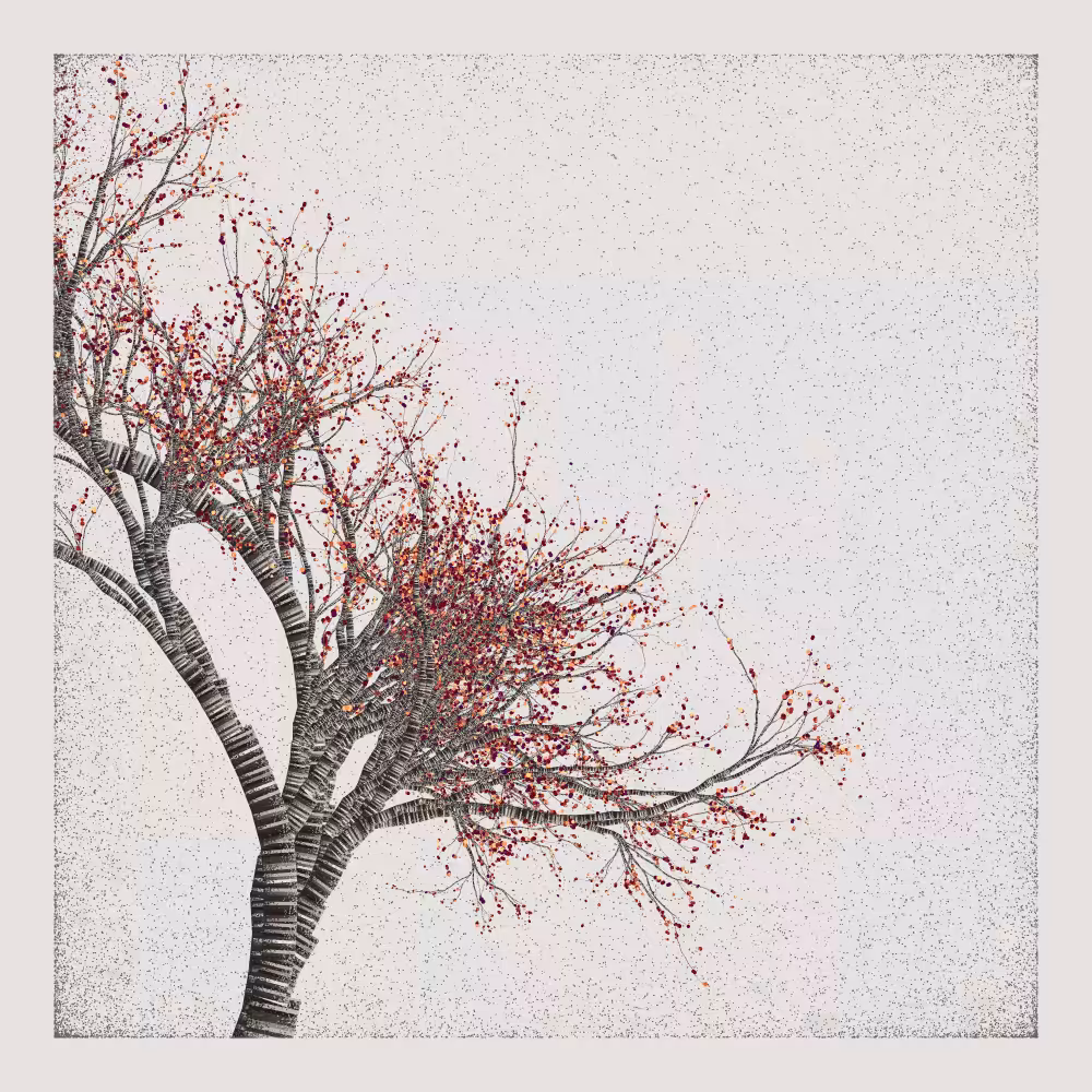 Bougainvillea #165