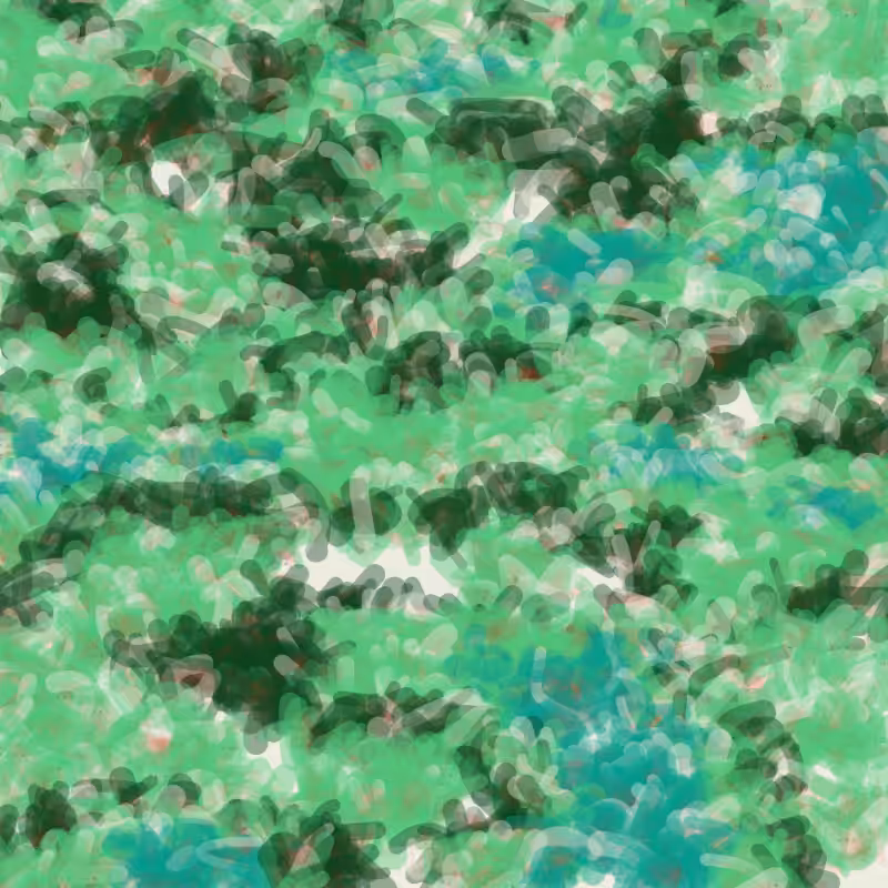 Petri 1500 #871