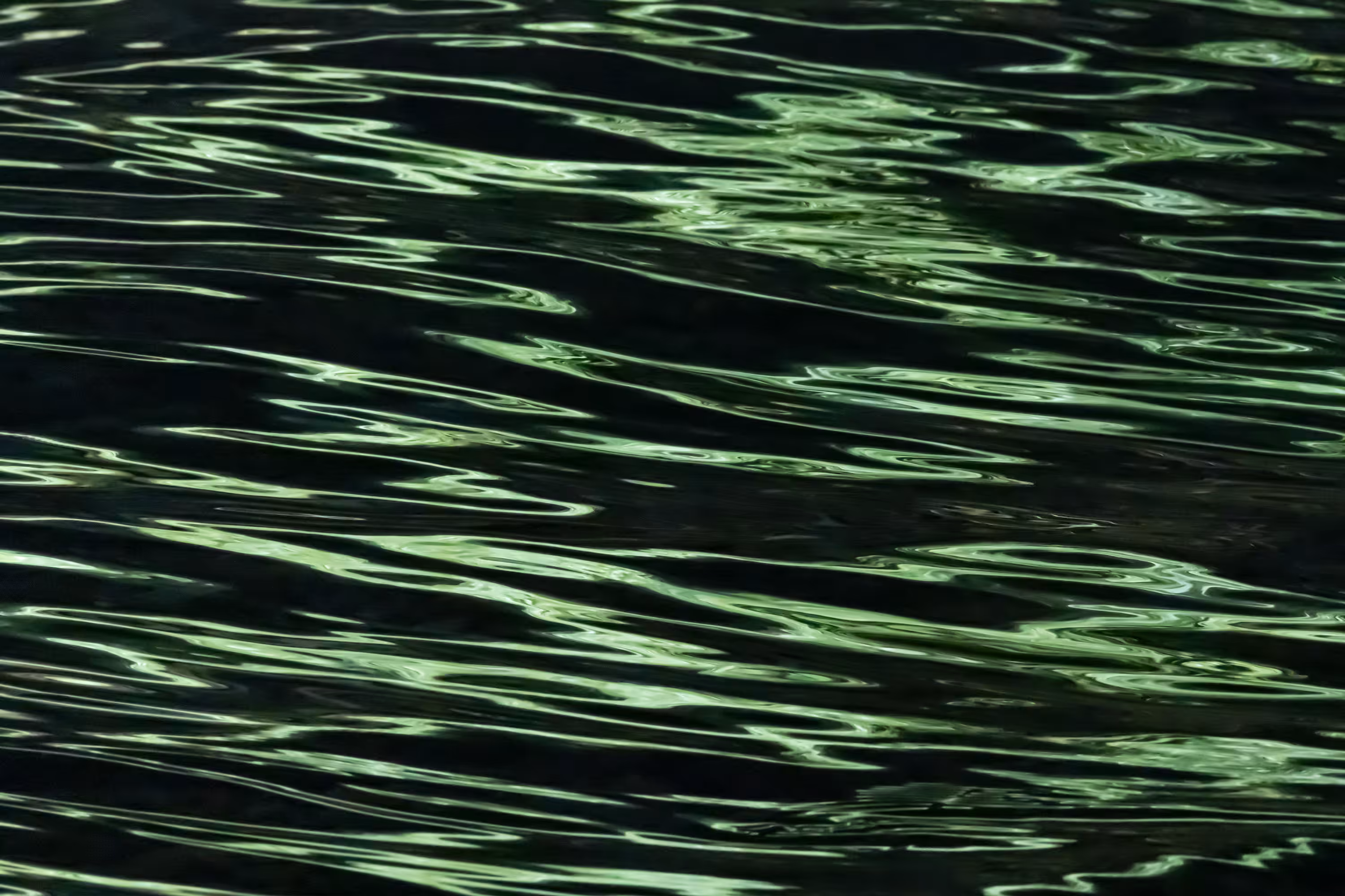 Ebb and Flow #20