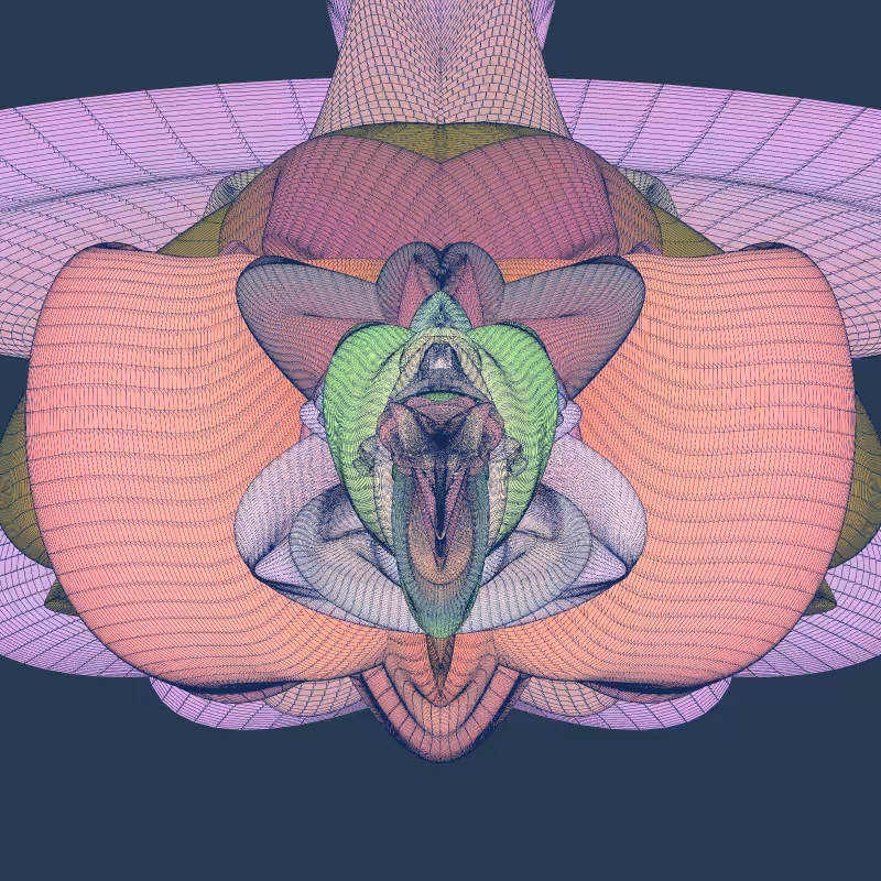Zaratan #44