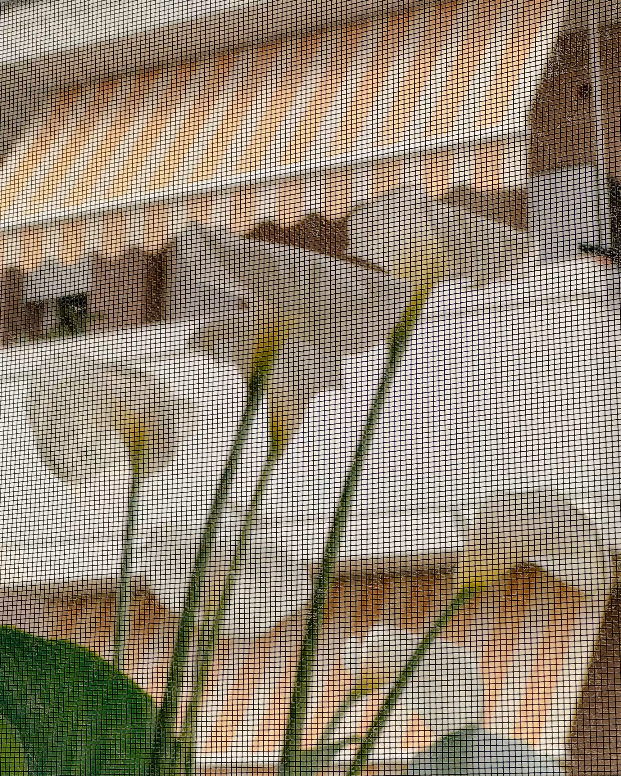 Callas