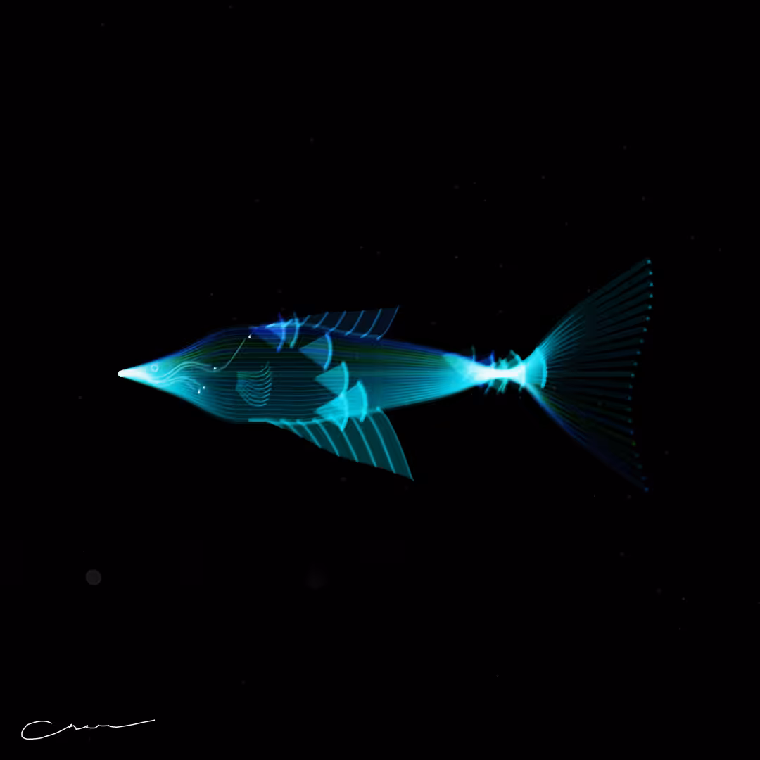 SoulFish #204