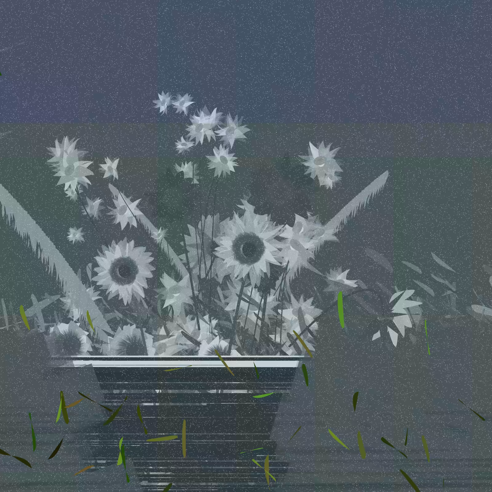 Wildflowers #24