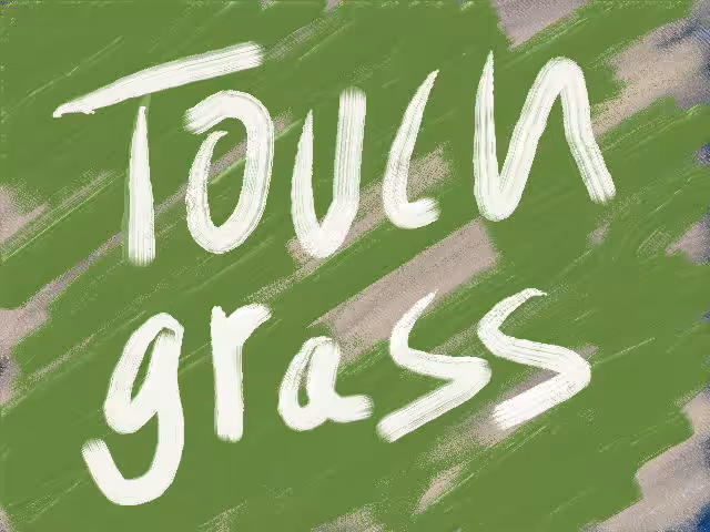 Touch Grass 