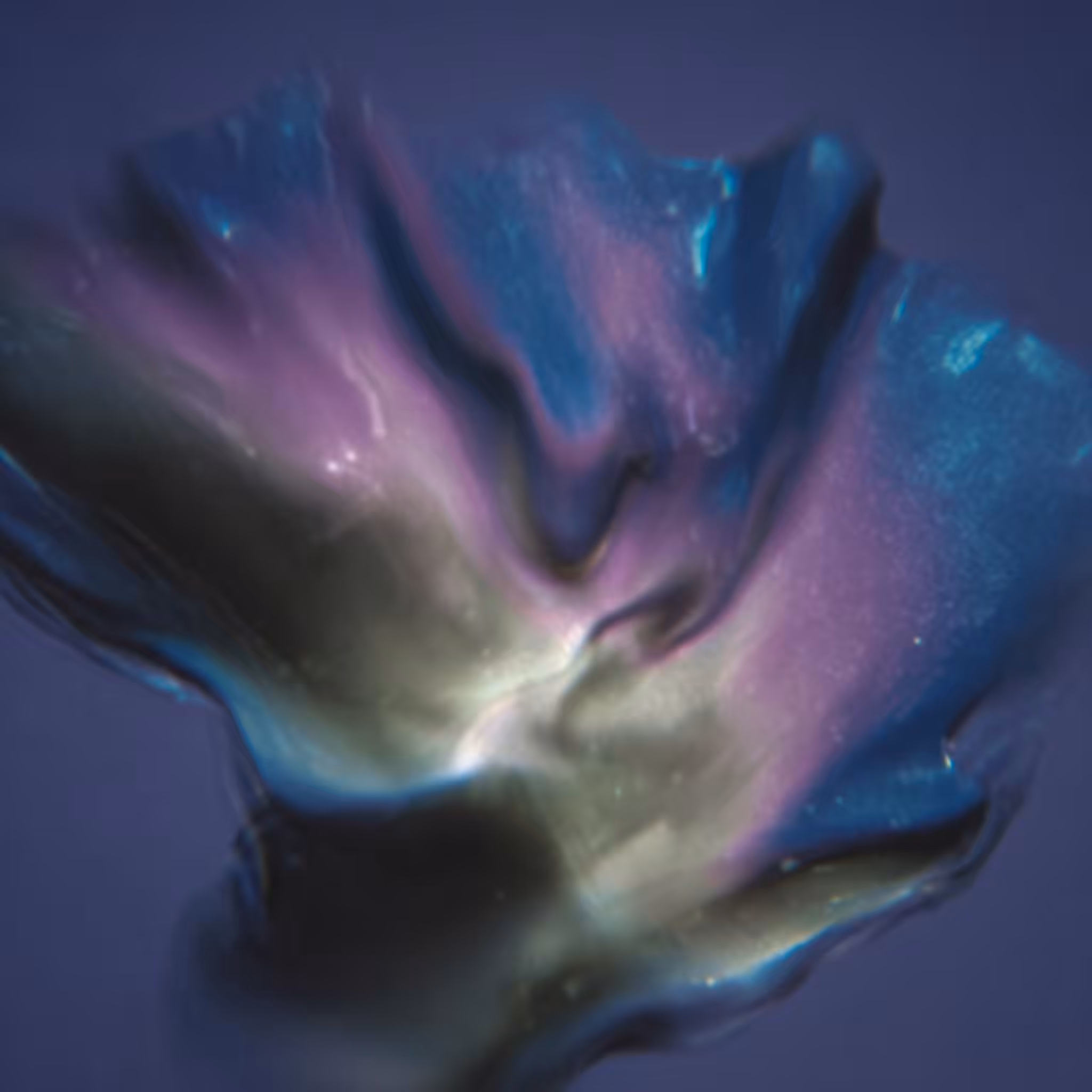Inward Bloom