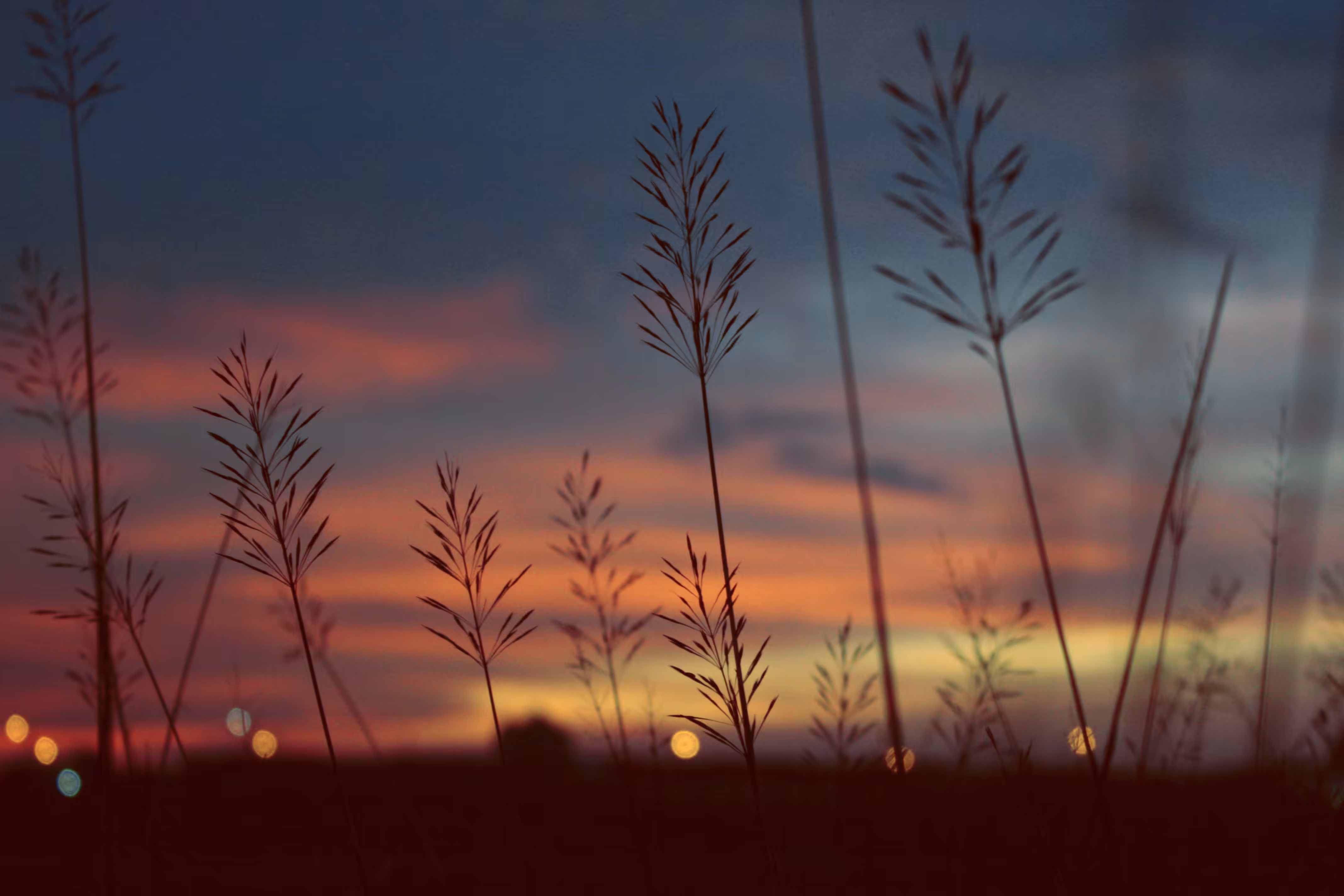 suburb sunset