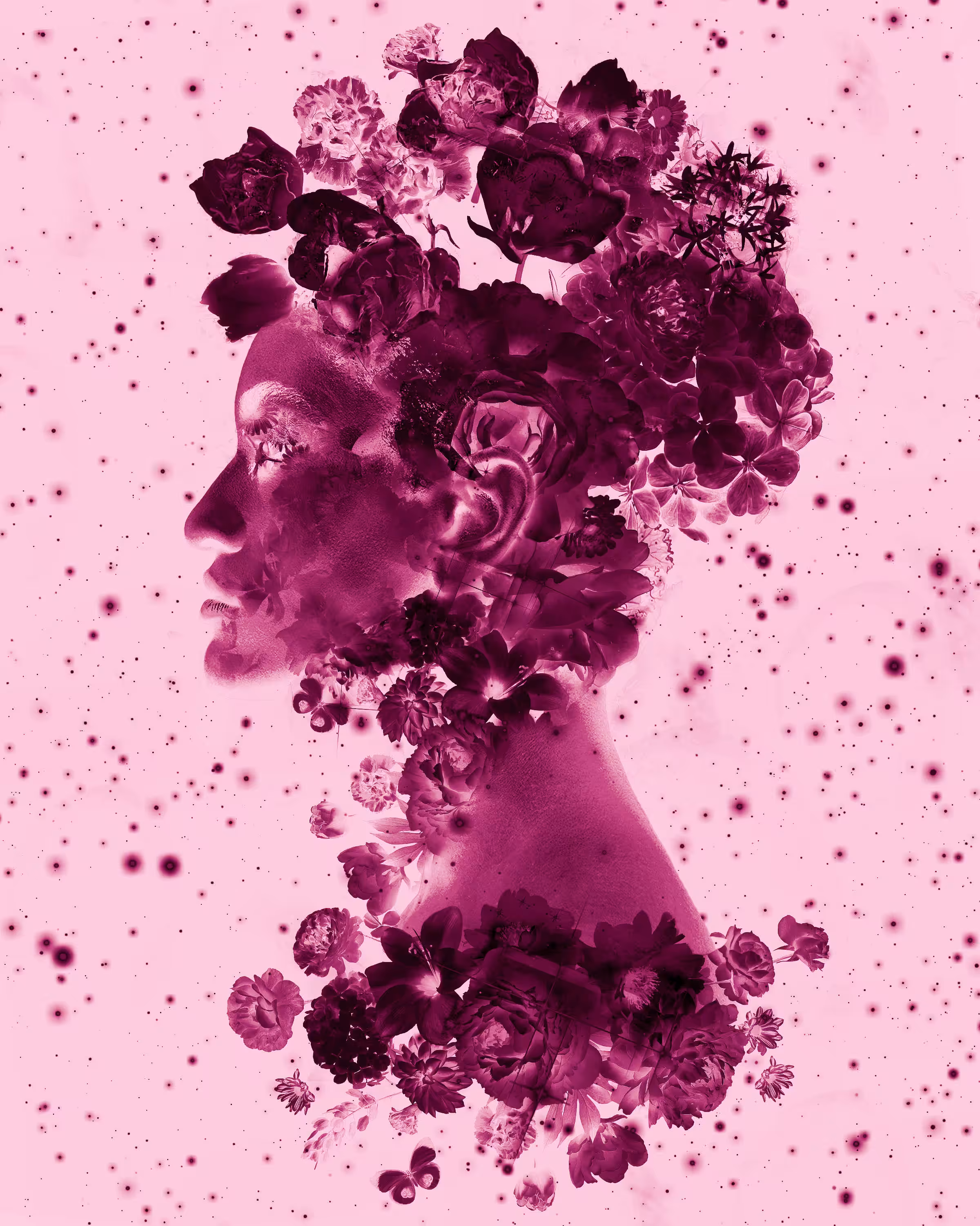 Lavender Dream: Pink
