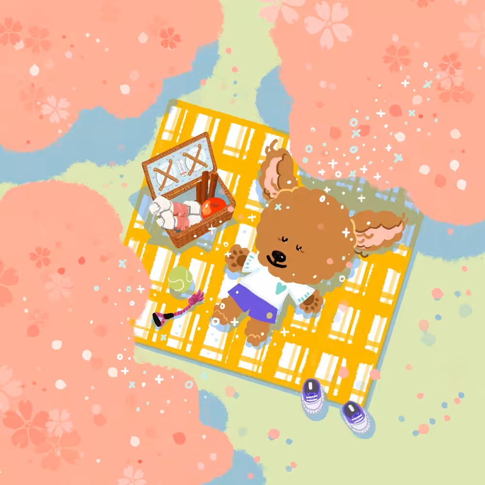 cherry blossom day