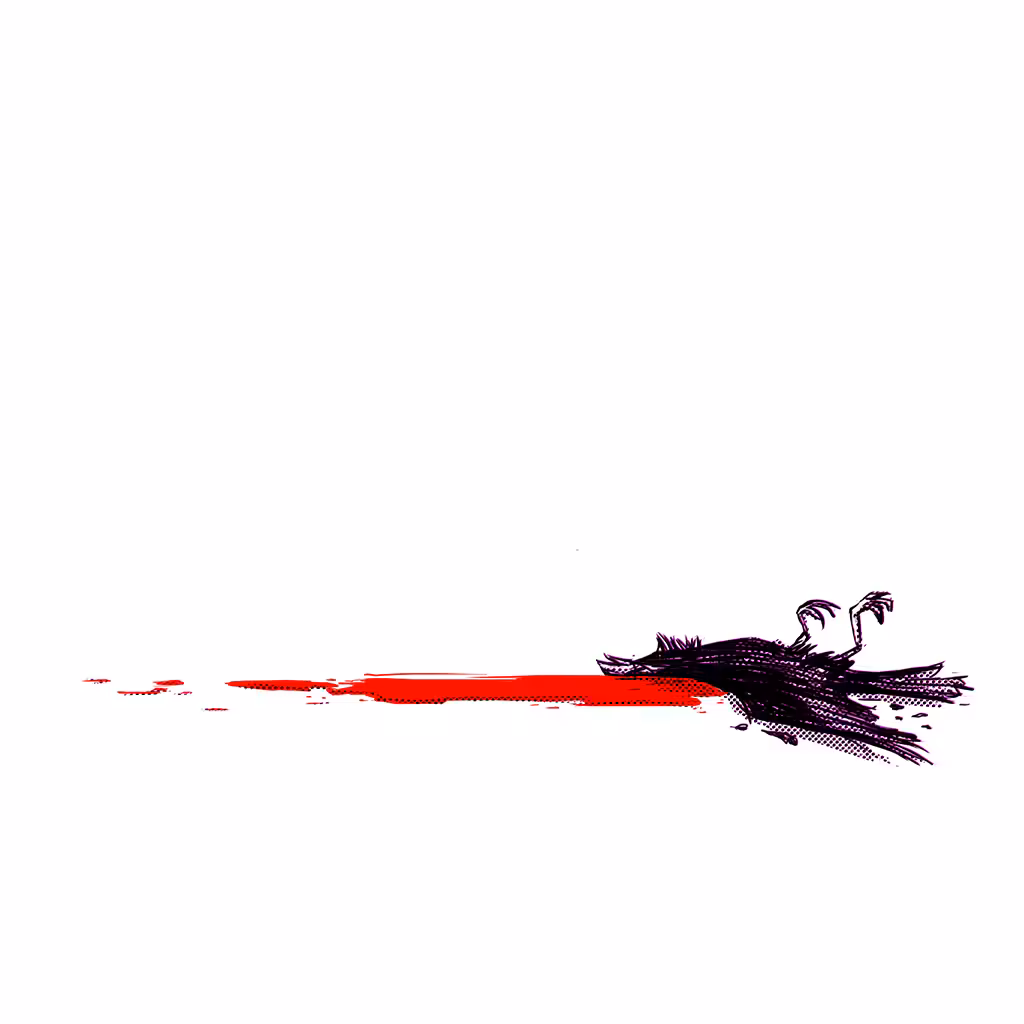 The Fall