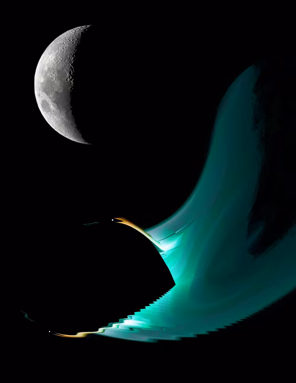 Midnight Swan